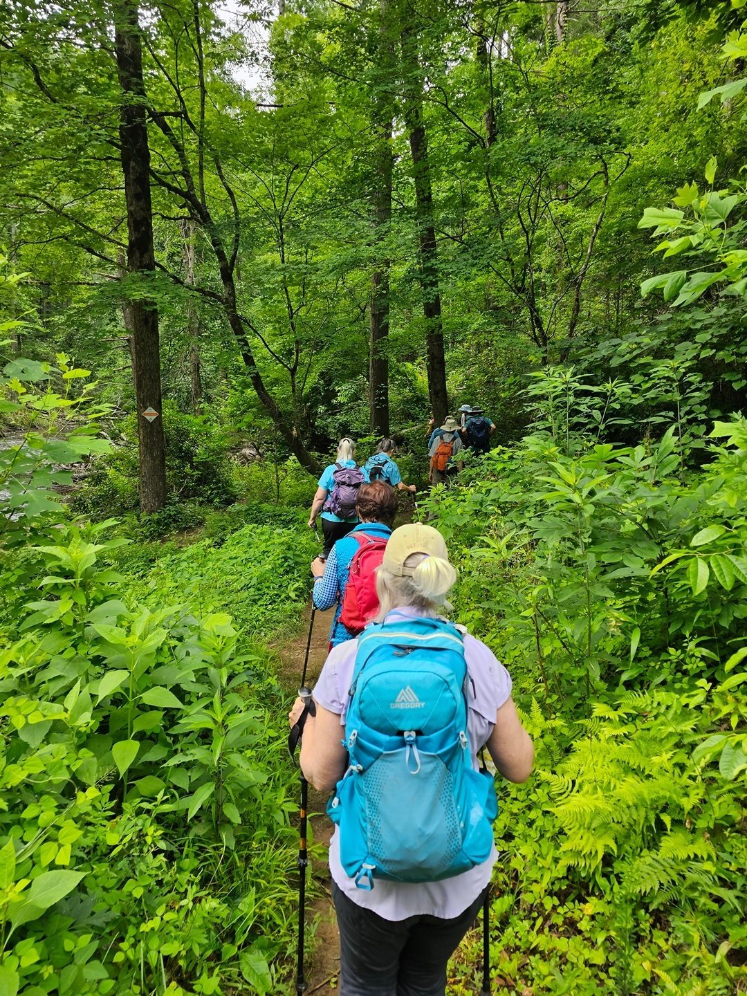 There is overgrowth at the beginning of this trail complete with a bit of Poison ivy and oak.