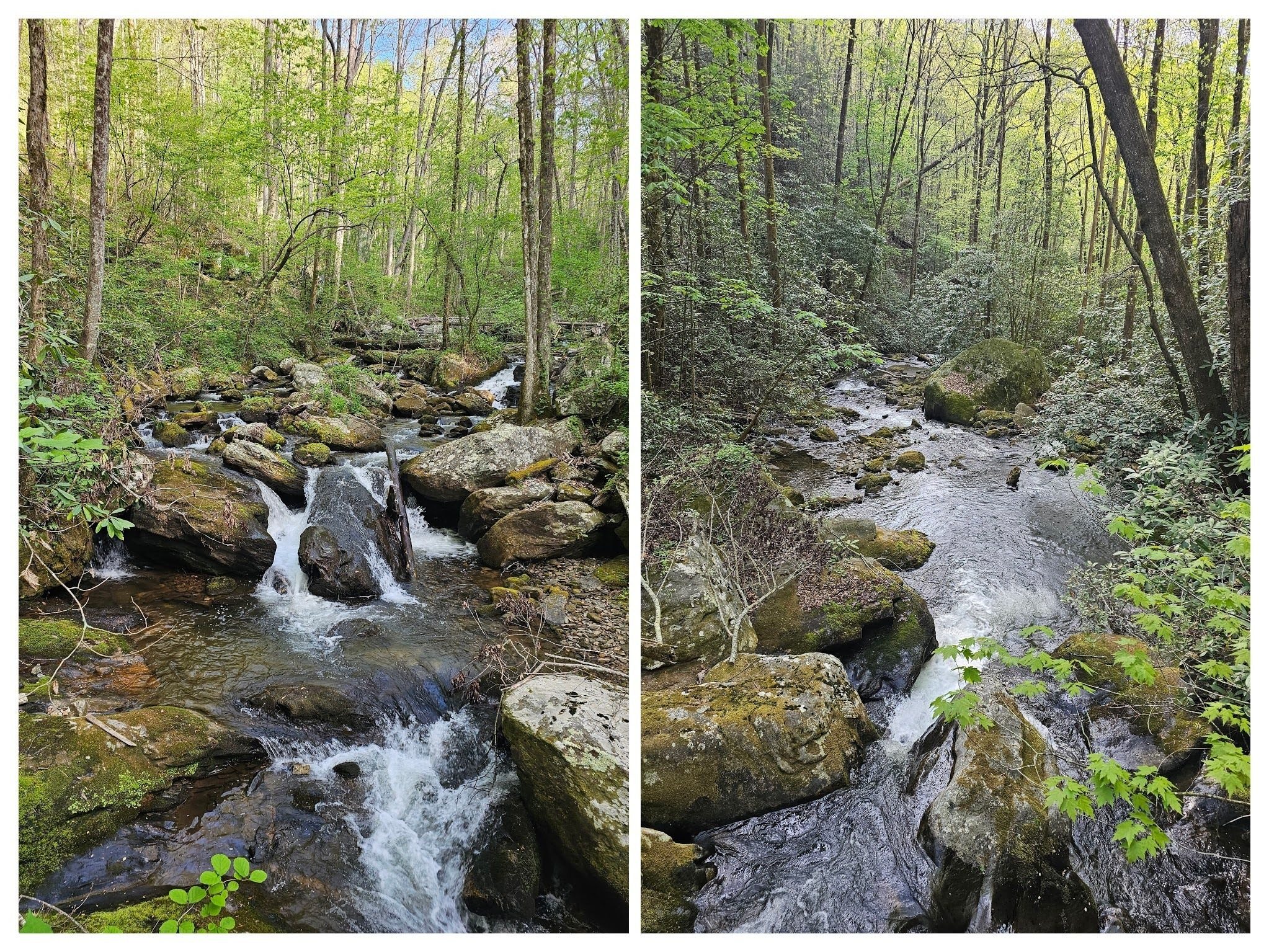 Smith Creek is really beautiful along the path to the falls.