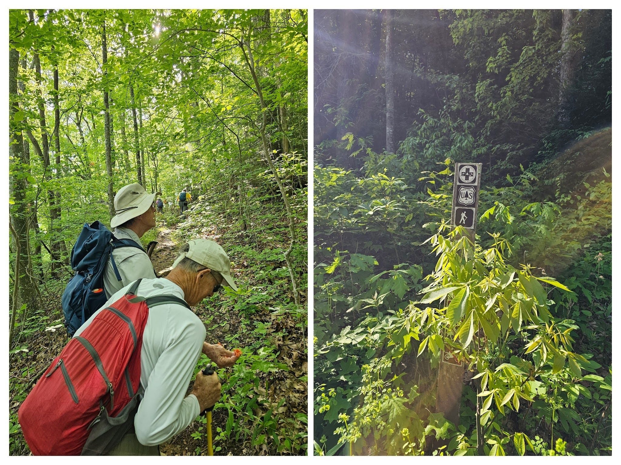 There is an initial steep 0.9-mile climb on the Duncan Ridge Trail.