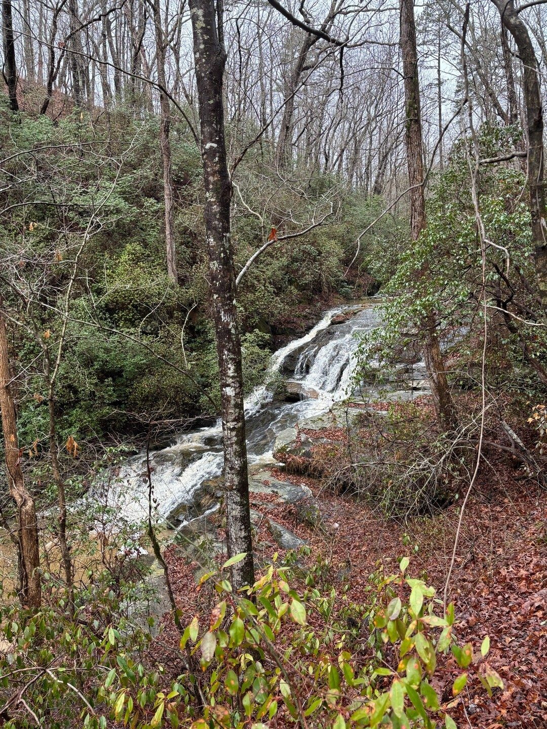 There it is, Sandy Bottom Falls, a 20-foot double sliding cascade.  Photo by Heather Wall.