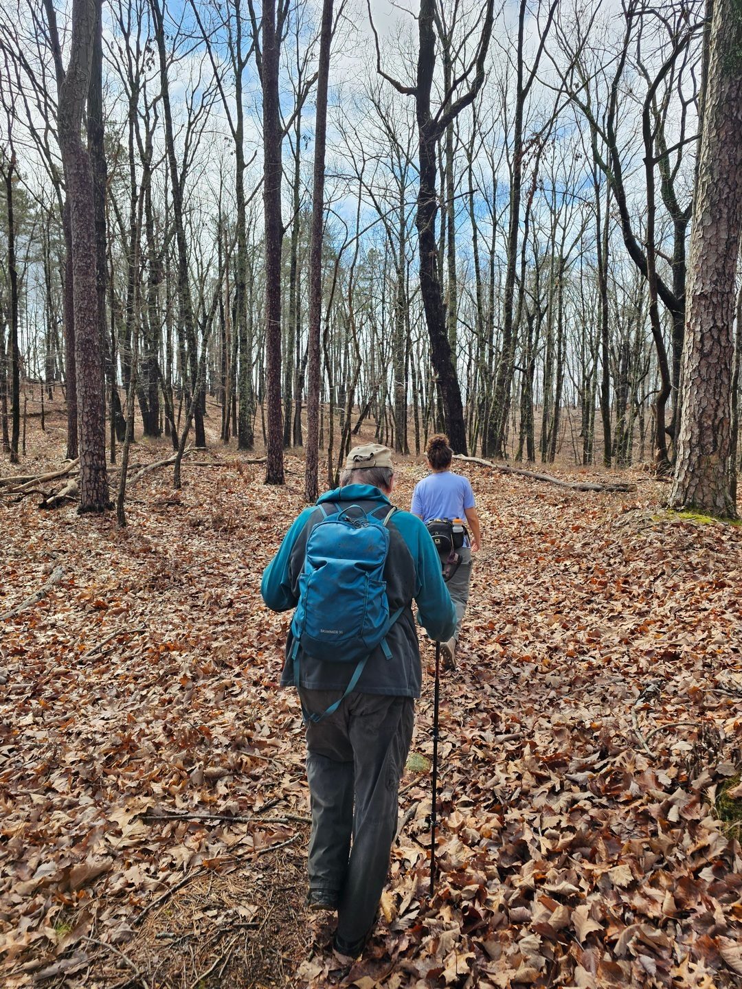 Following the ridgeline to the logging road.