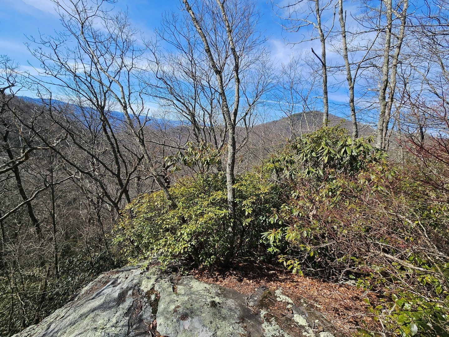 Matt spotted a short side trail to a rock overlook.  That's Hightower Bald in the background.