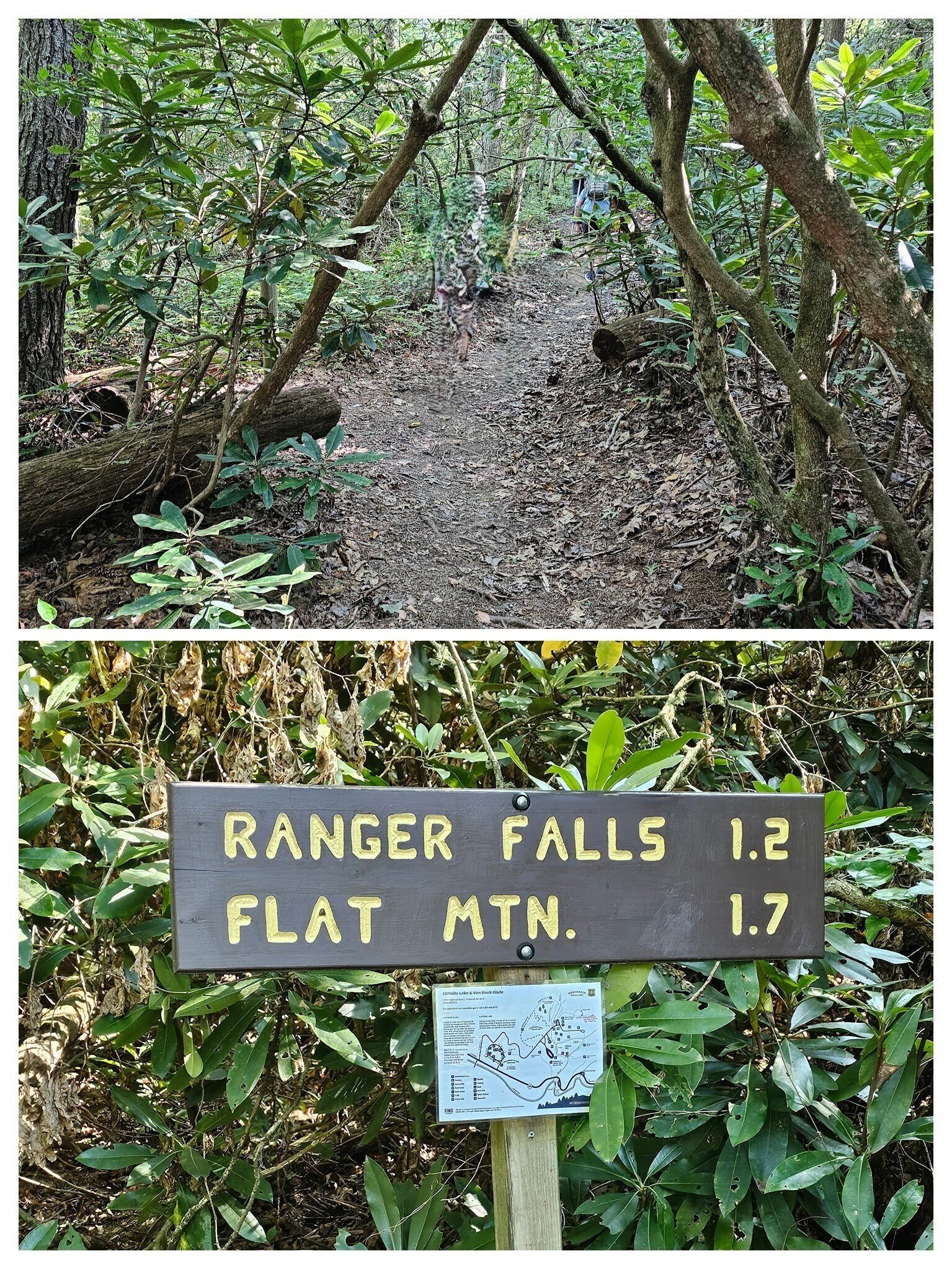 Heading up Ranger Falls trails.