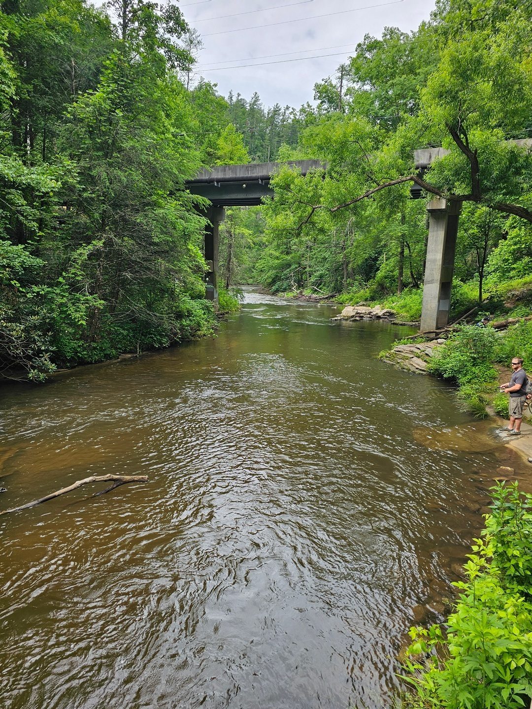 We get started by following the Eastatoe Creek for a short time.