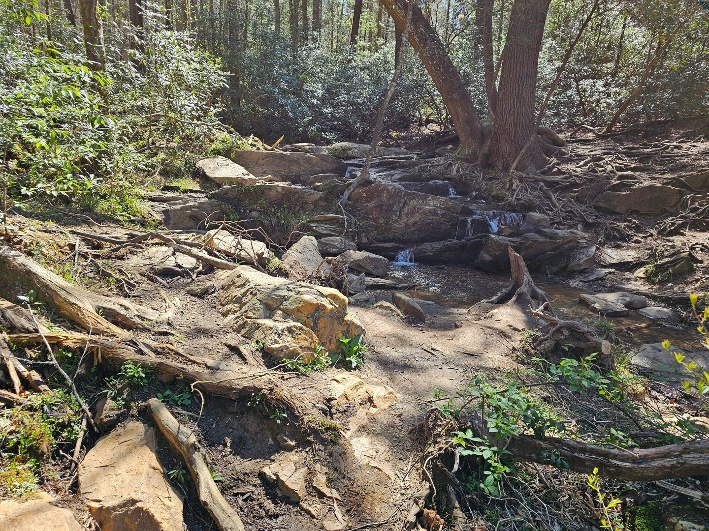 We think this weak cascade is referred to as a waterfall in some writeups of this hike.