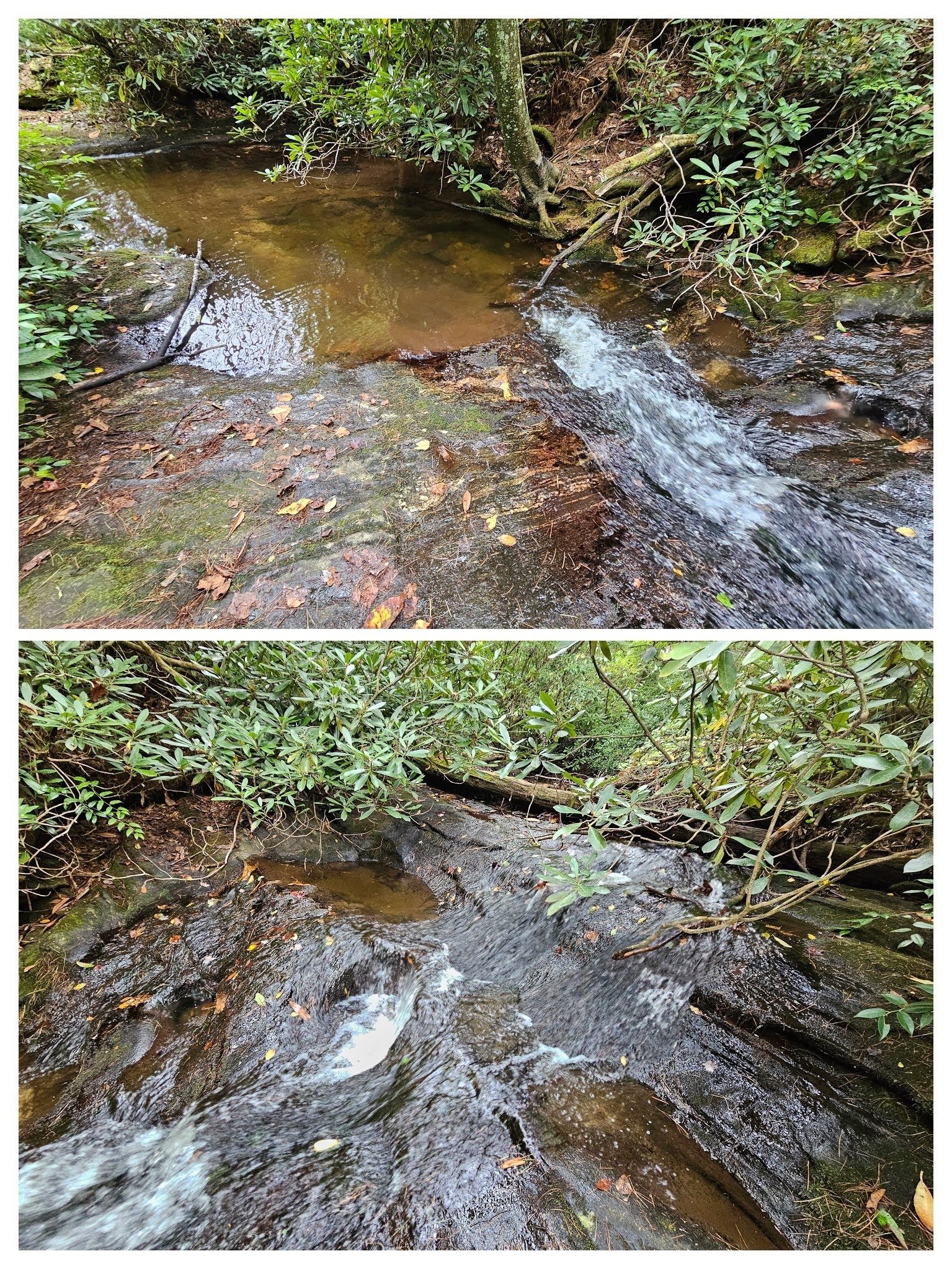 A nice small pool and cascade prior to reaching Ranger Falls