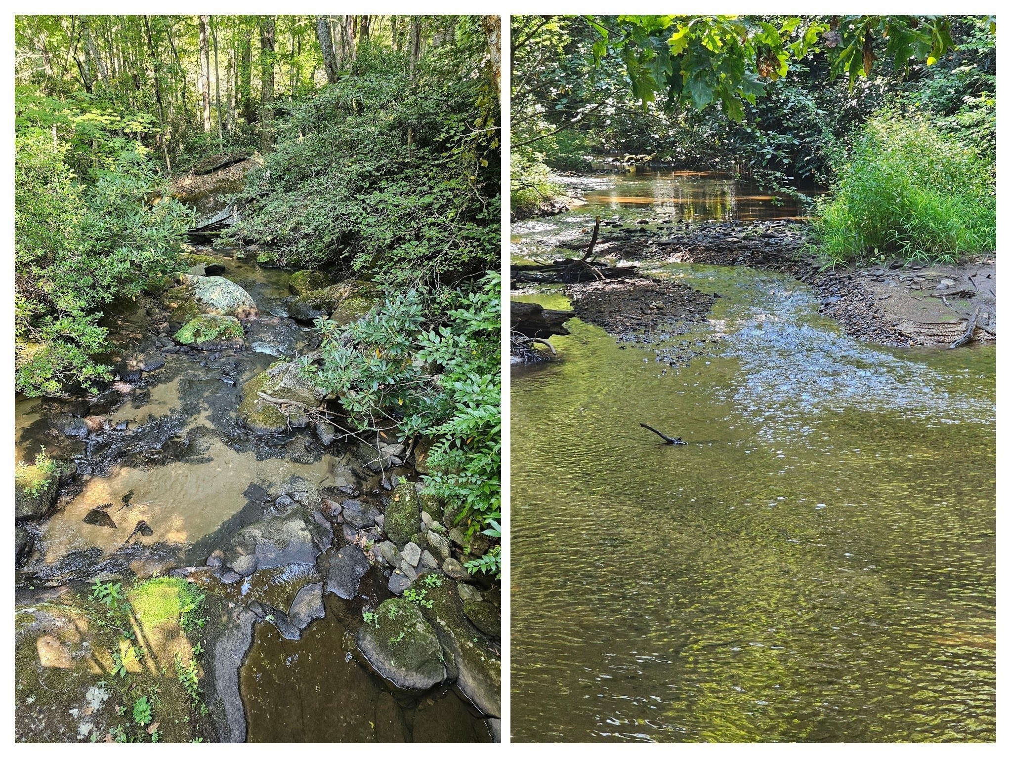 Mud Creek up and downstream from a bridge over a dam that appears be a water source for some entity