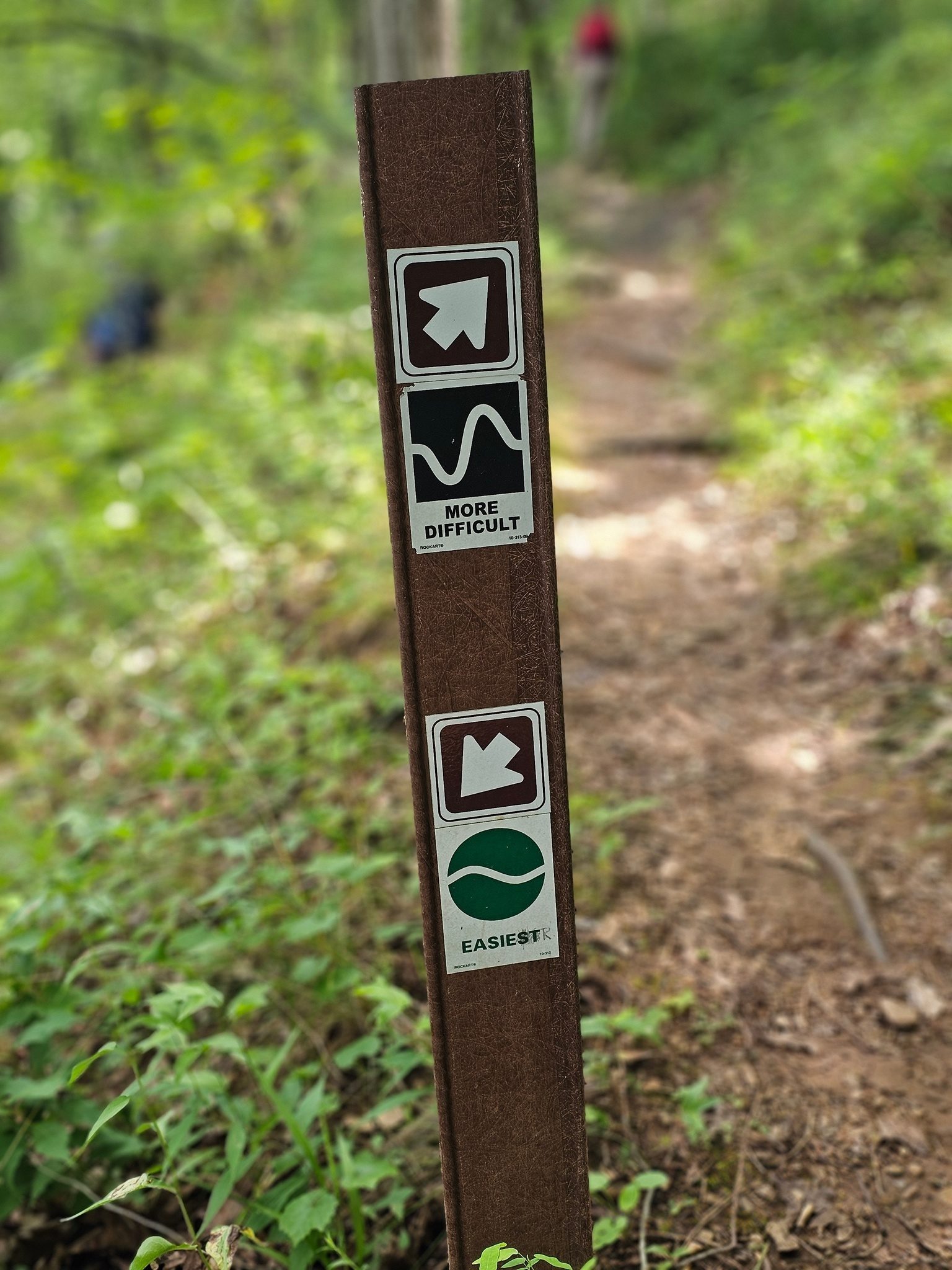 So, how often do you get to make this type of trail choice?