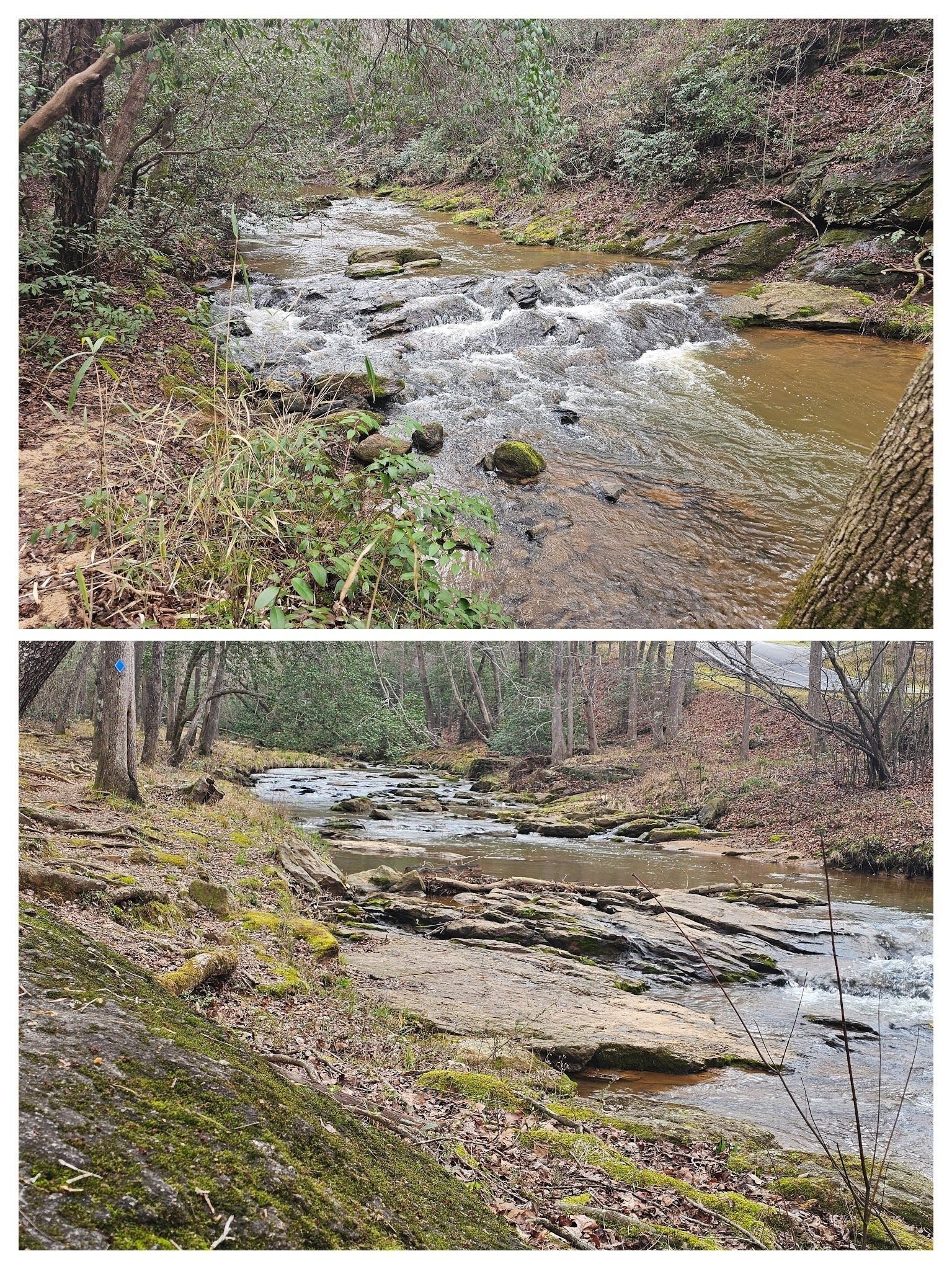 Victoria's Path along Rice Creek was a nice conclusion to today's hike.