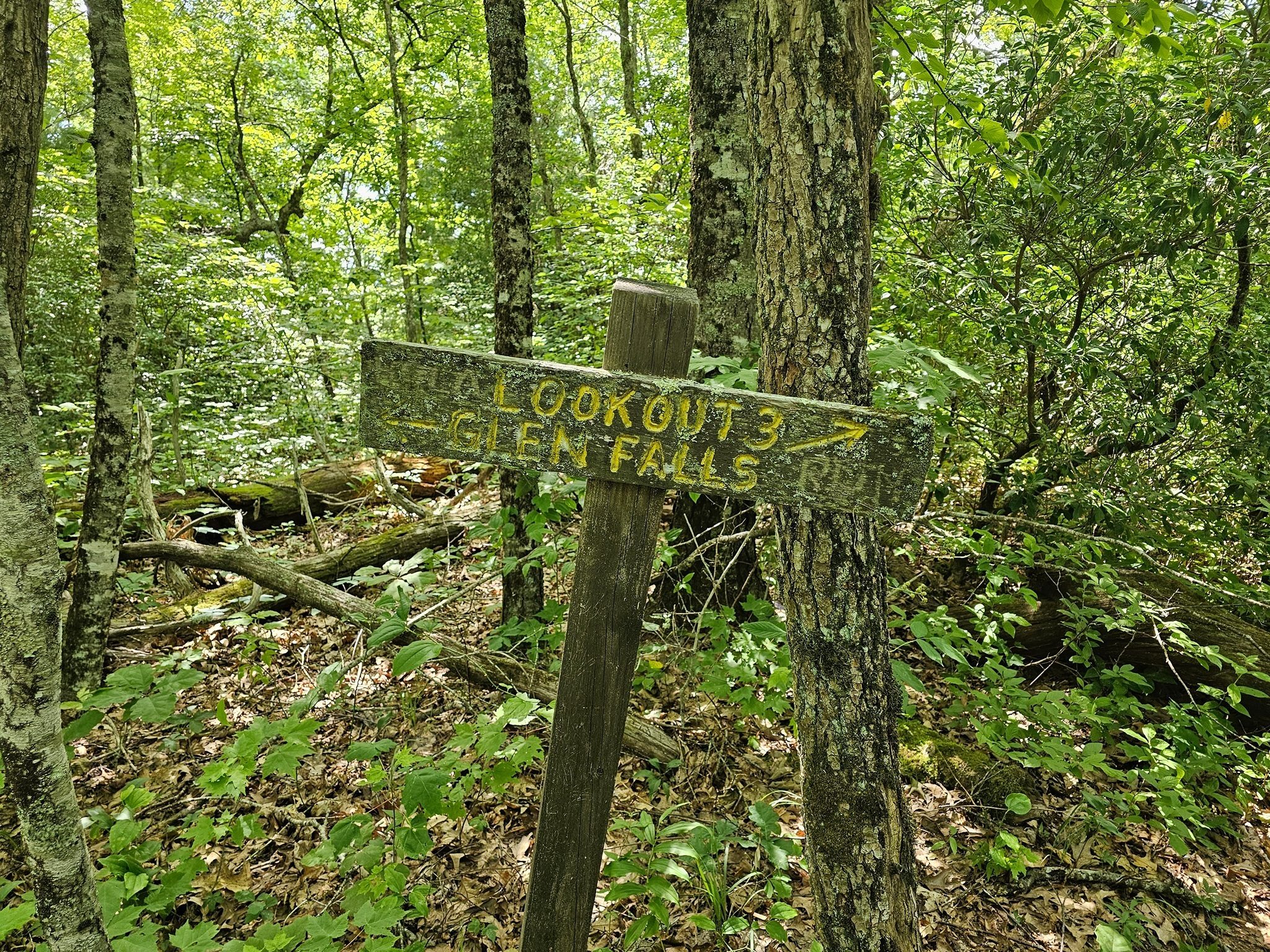 Lookout #3 is the longest walk off the main trail and a moderately steep descent to the viewing point.