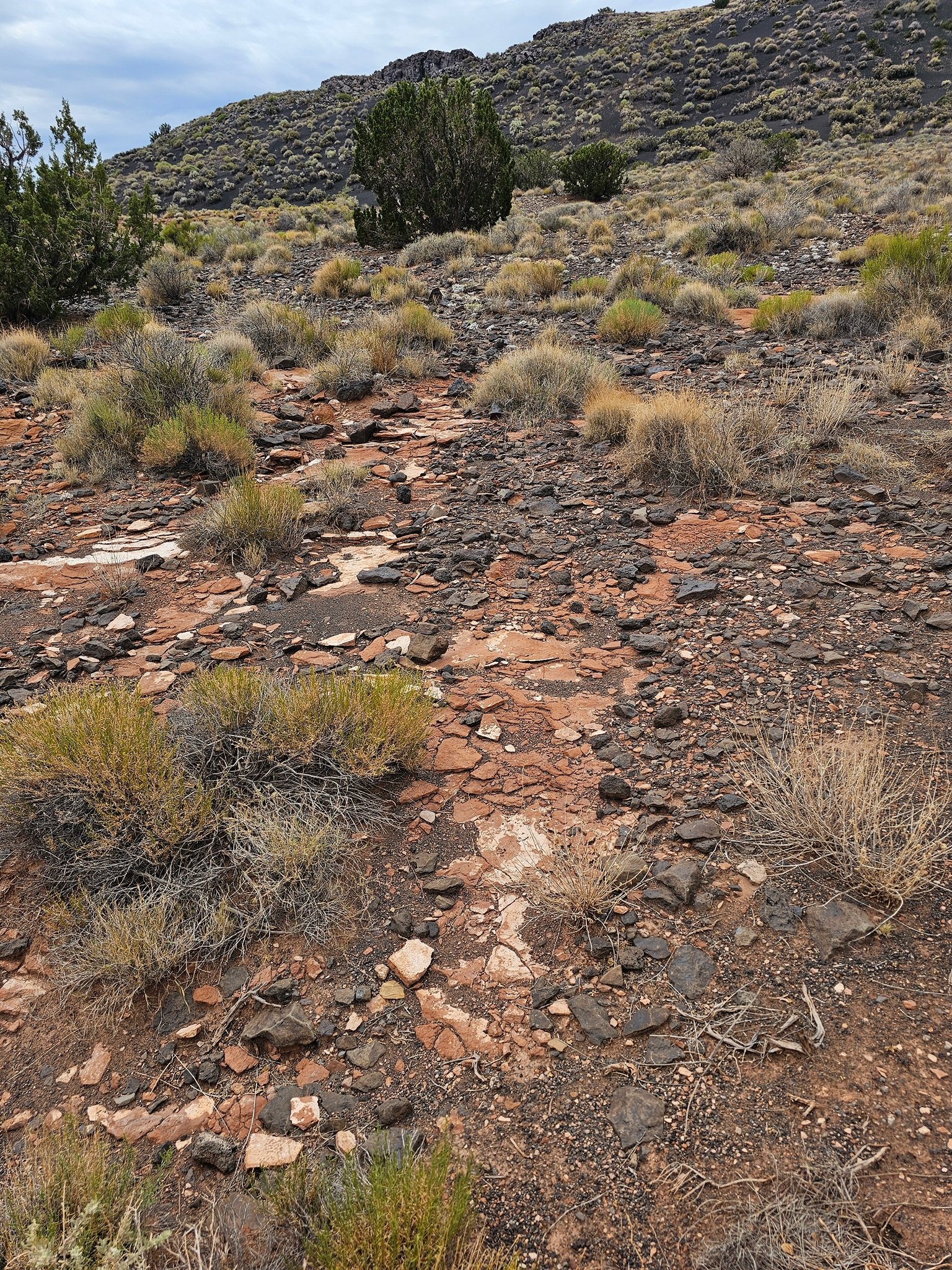 The flat, deep red-brown slabs are Moenkopi Sandstone, a sedimentary rock. The dark grey to black stones and gravel fragments are basalt and volcanic ash ejected from the Sunset Crater in 1085 AD.