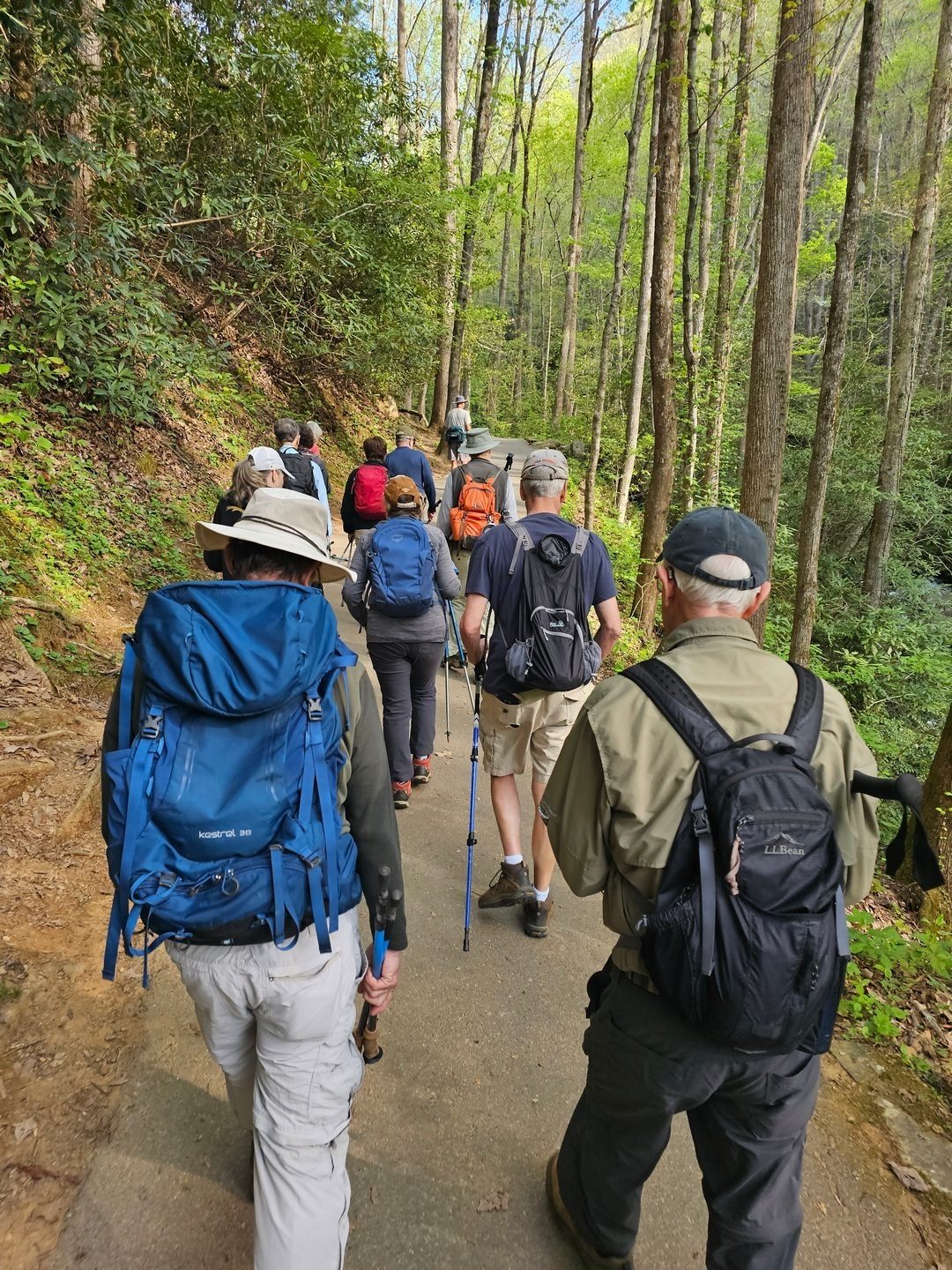 It's 0.4 miles up a paved path to Anna Ruby Falls.