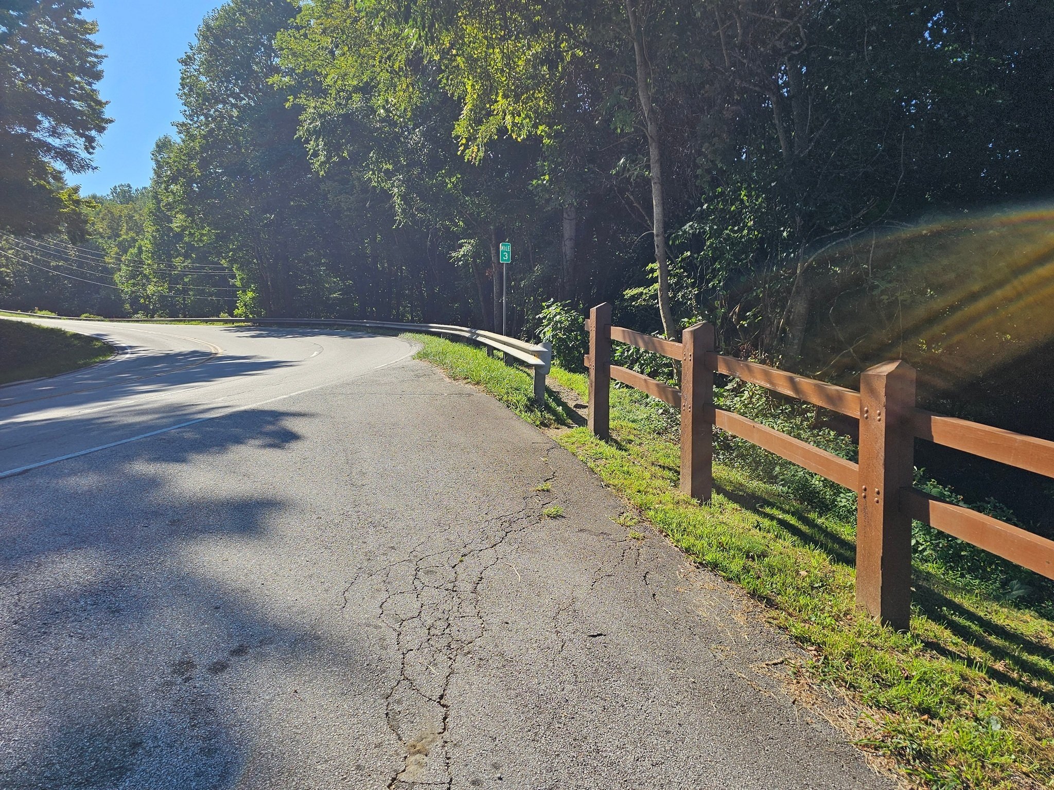 We follow the narrow path along the GA Hwy 246 roadside to begin our hike.