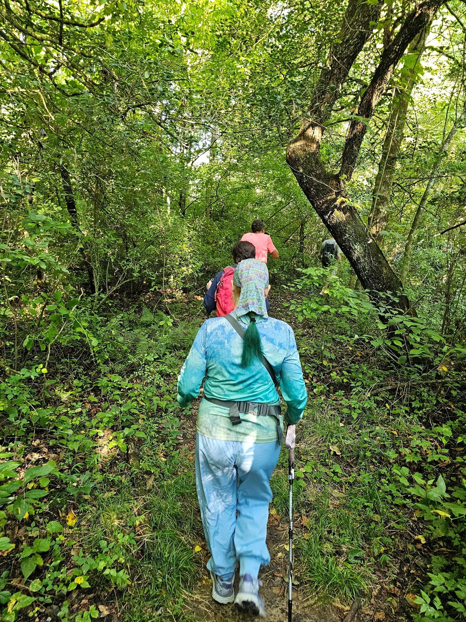 The trail is well marked and easy to follow.
