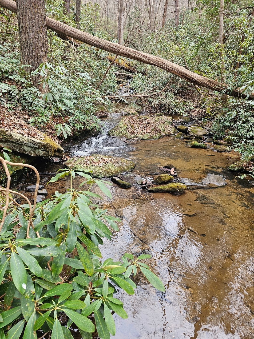 Pretty, but the water is flowing the wrong way.   Oops, we need to turn around.