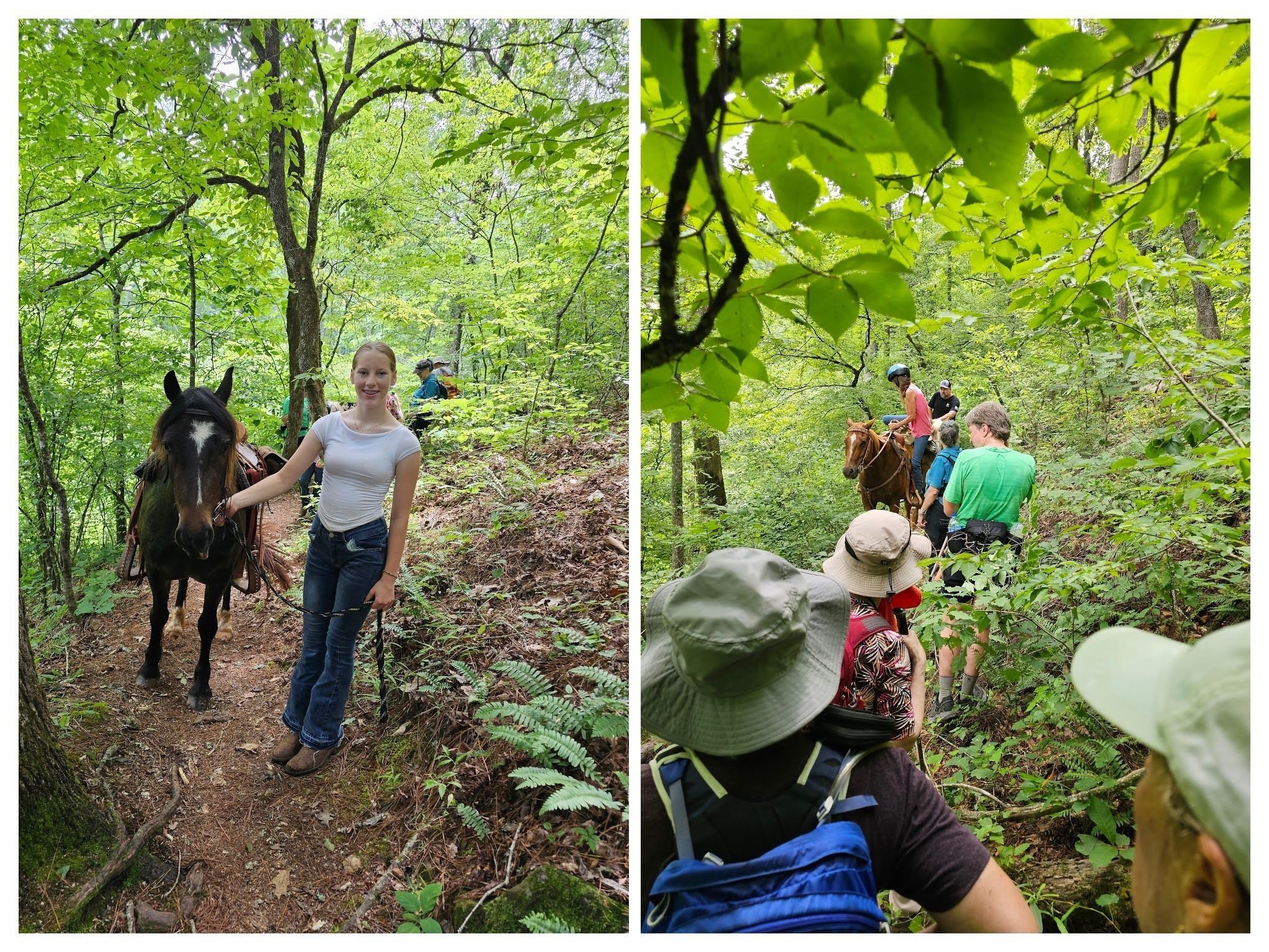 It's unusual to see horses on these trails.  A group of five riders today.