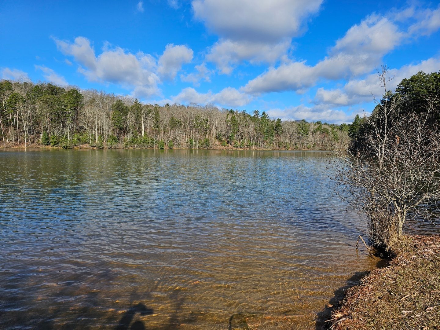 A view to the north from the point on Turner Reservoir.