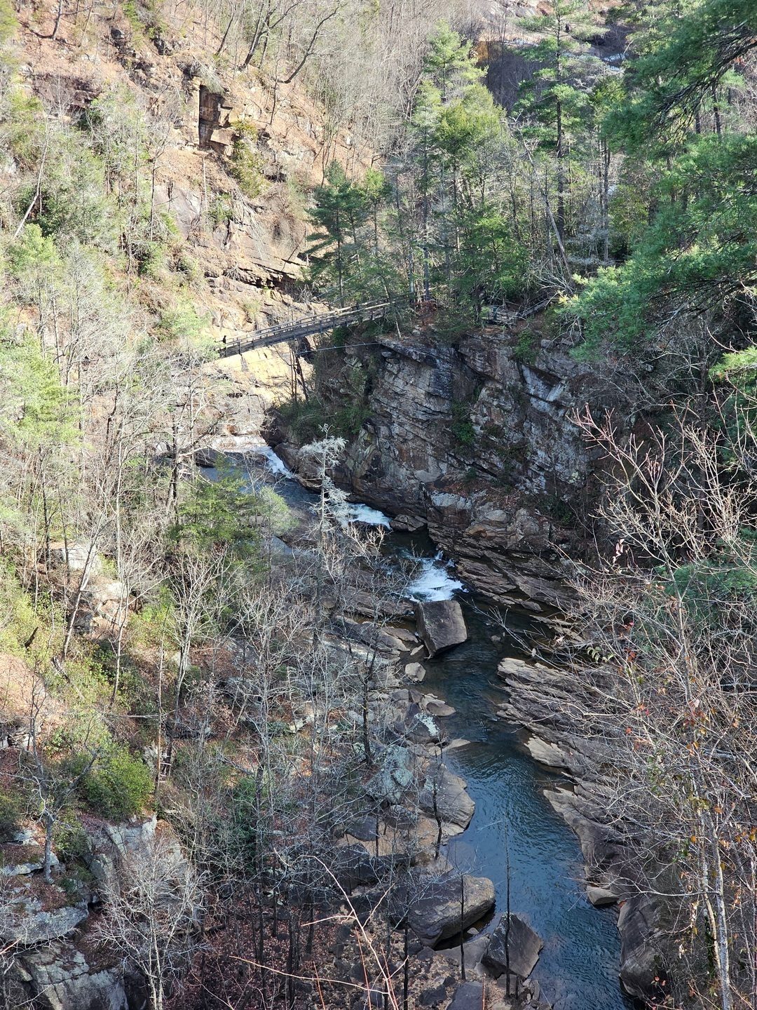 A view of the Gorge and the suspension bridge we just crossed from Overlook #6.