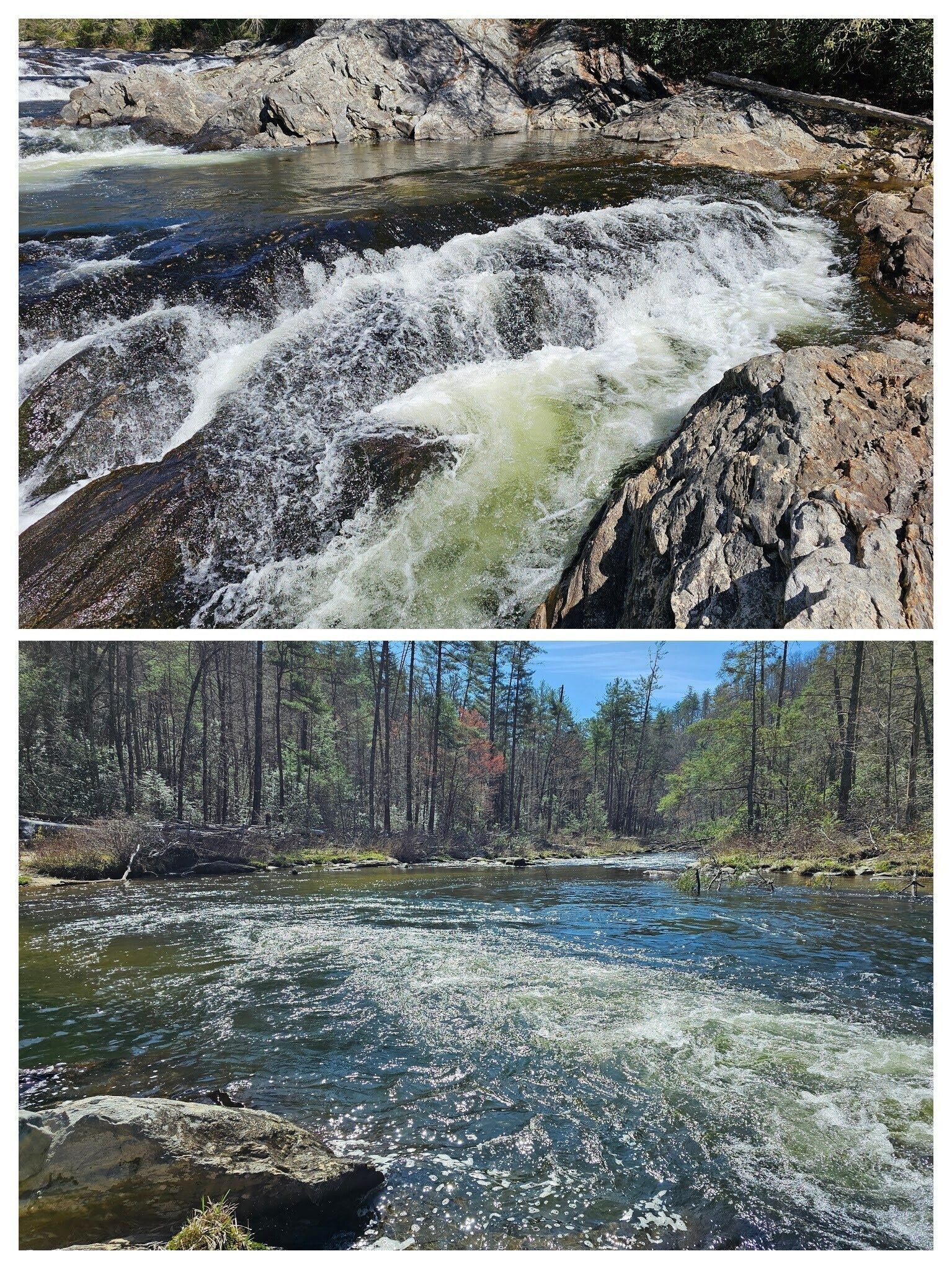 More views of the Chattooga at our lunch stop.