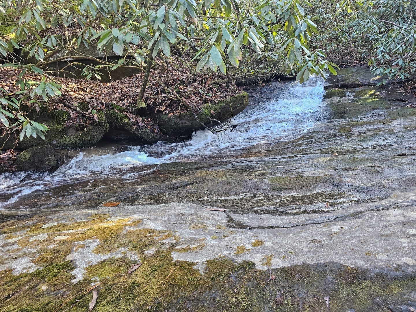 A small, but scenic water slide on Taylors Creek near the trailhead.