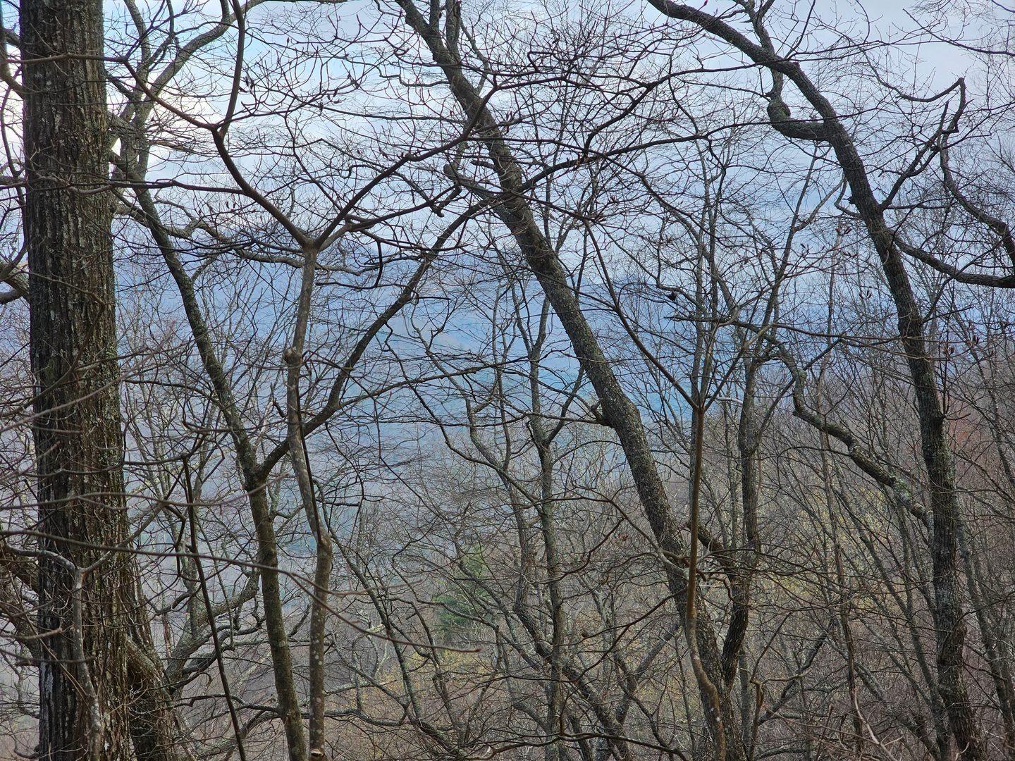No clear distant views on this hike.