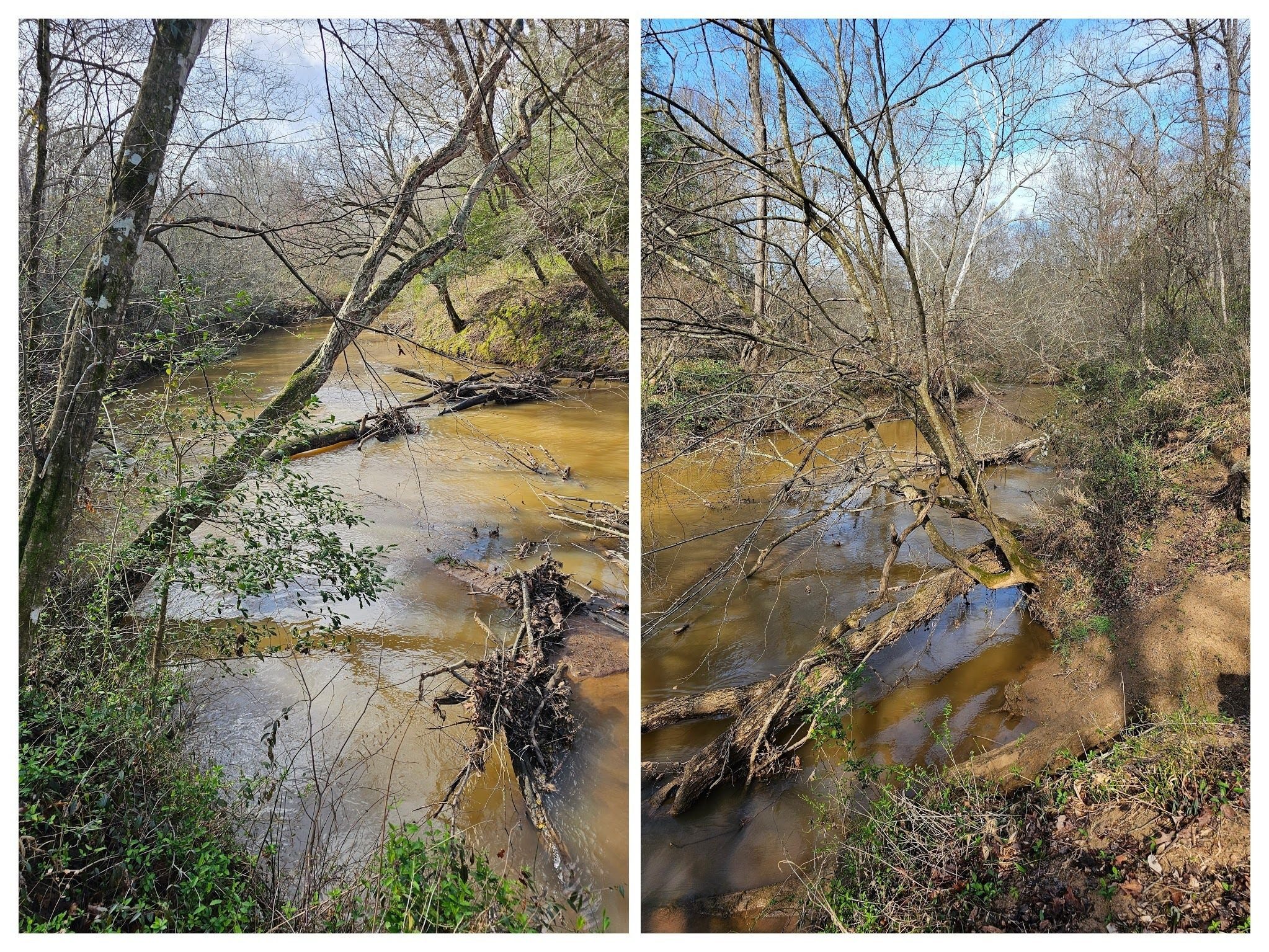 Views up and down the today muddy, North Fork Broad River.