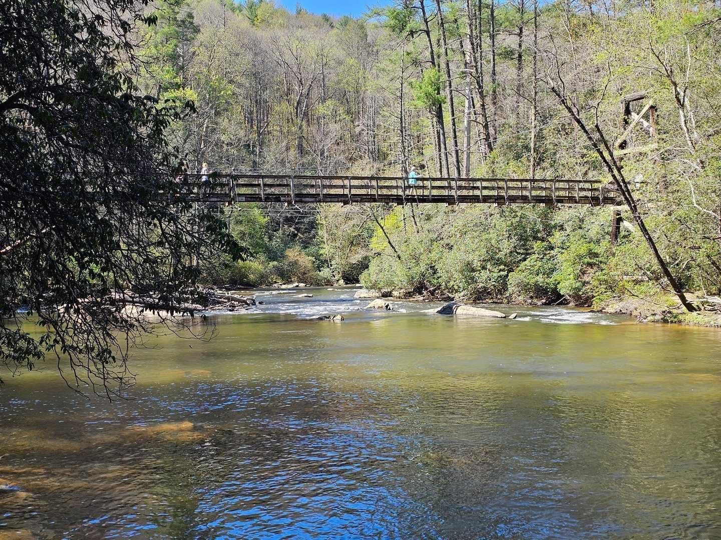 A final view of the Toccoa River Suspension Bridge from the south side of the river.