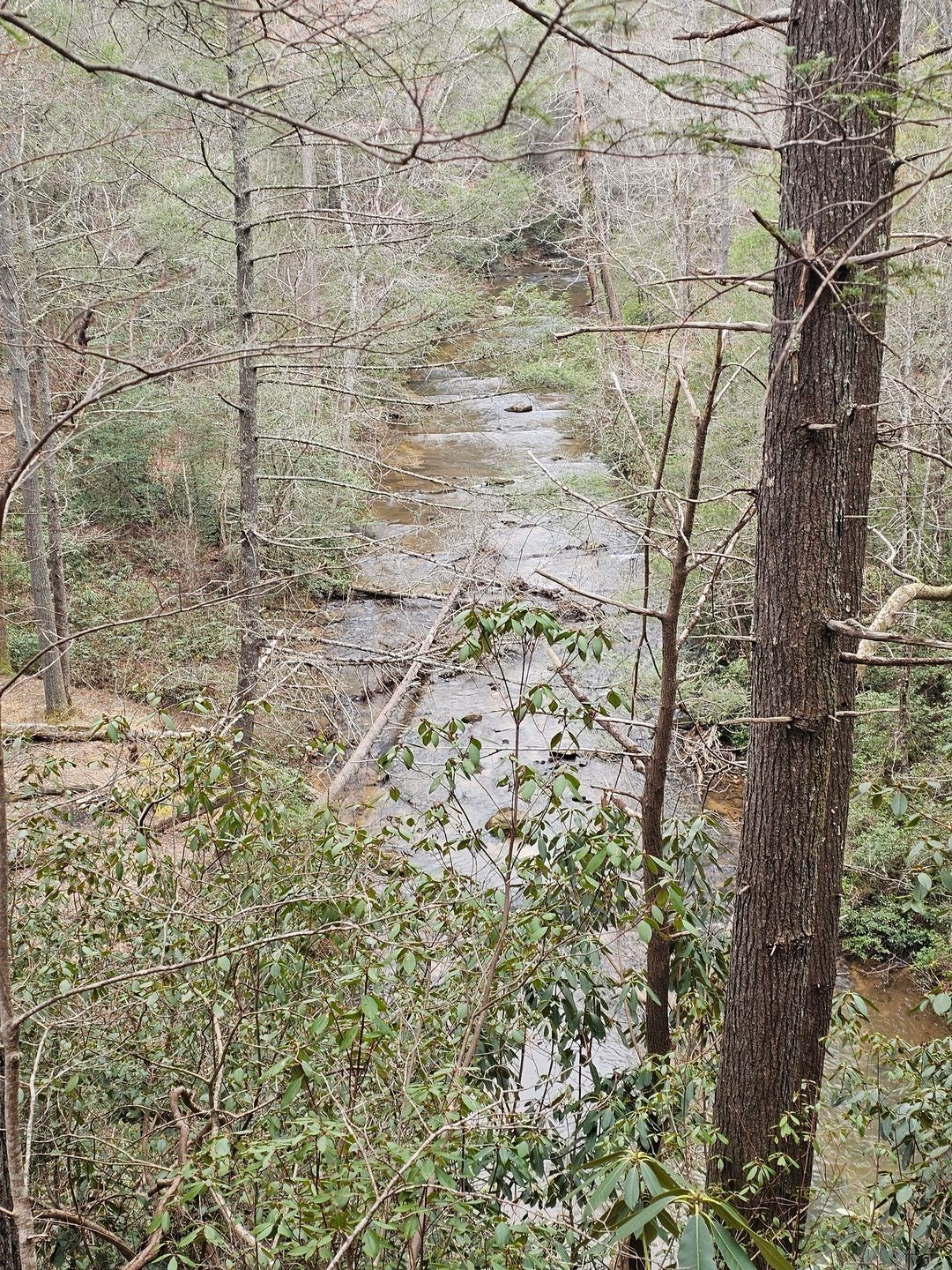 Panther Creek is actually a very pretty creek.