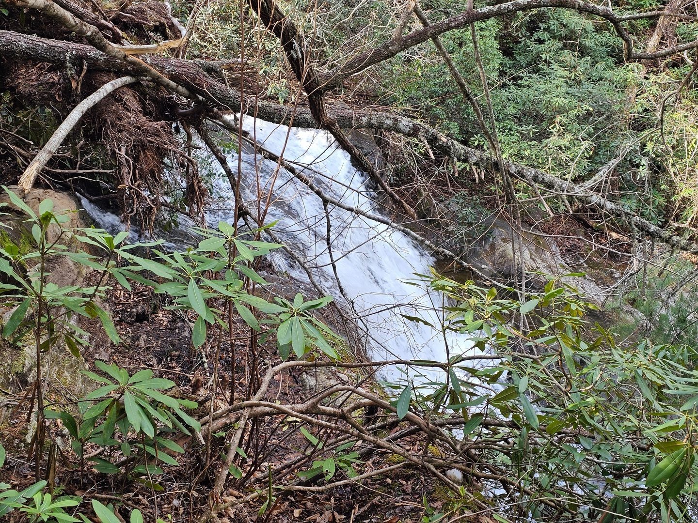 A view of Licklog Falls  from the east side of the branch as we continue on to the Chattahoochee River.