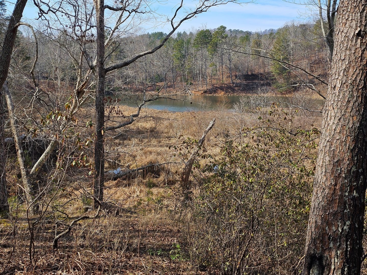 Nancytown Lake as we finish our hike.