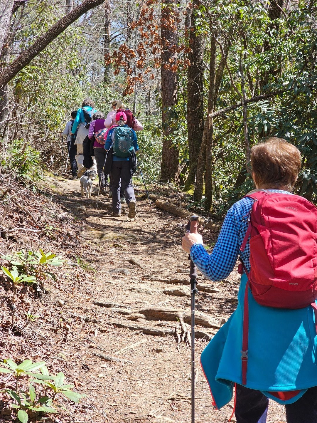 Headed back from a really nice hike.
