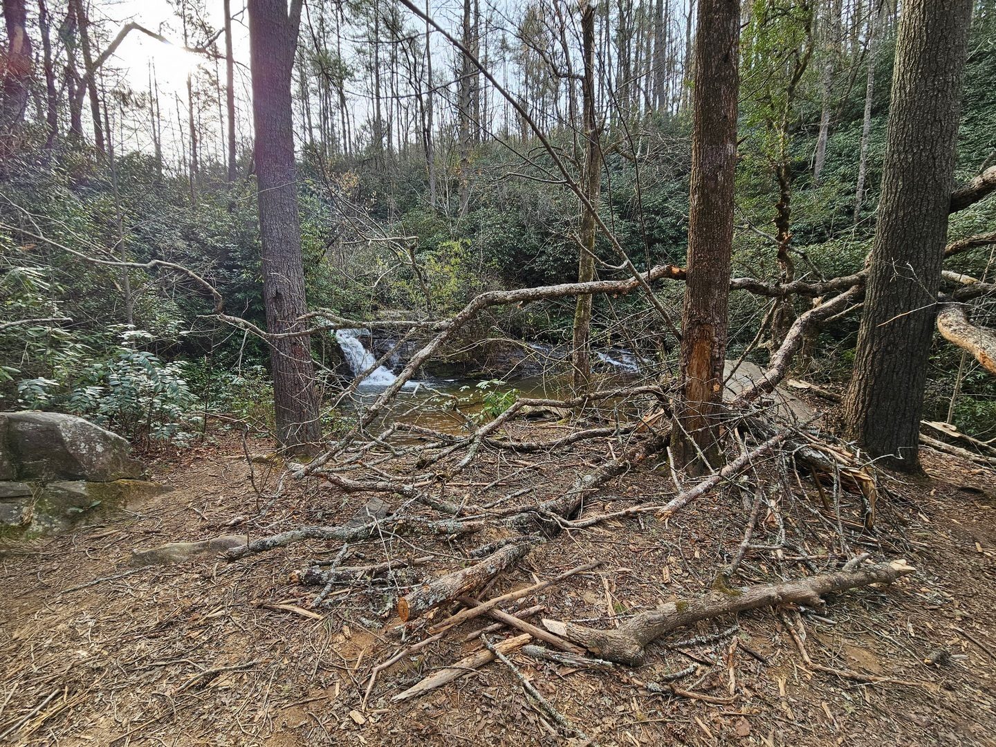 First stop is Pigpen Falls, but we were surprised by the amount of blowdown around the falls.