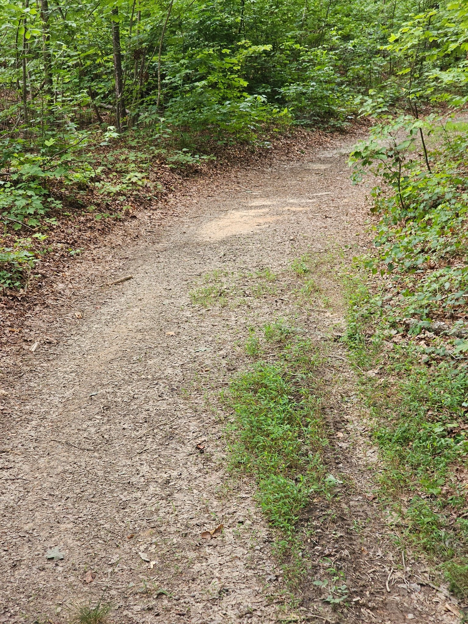 We turn right onto Trestle Loop, now mostly an ATV trail.