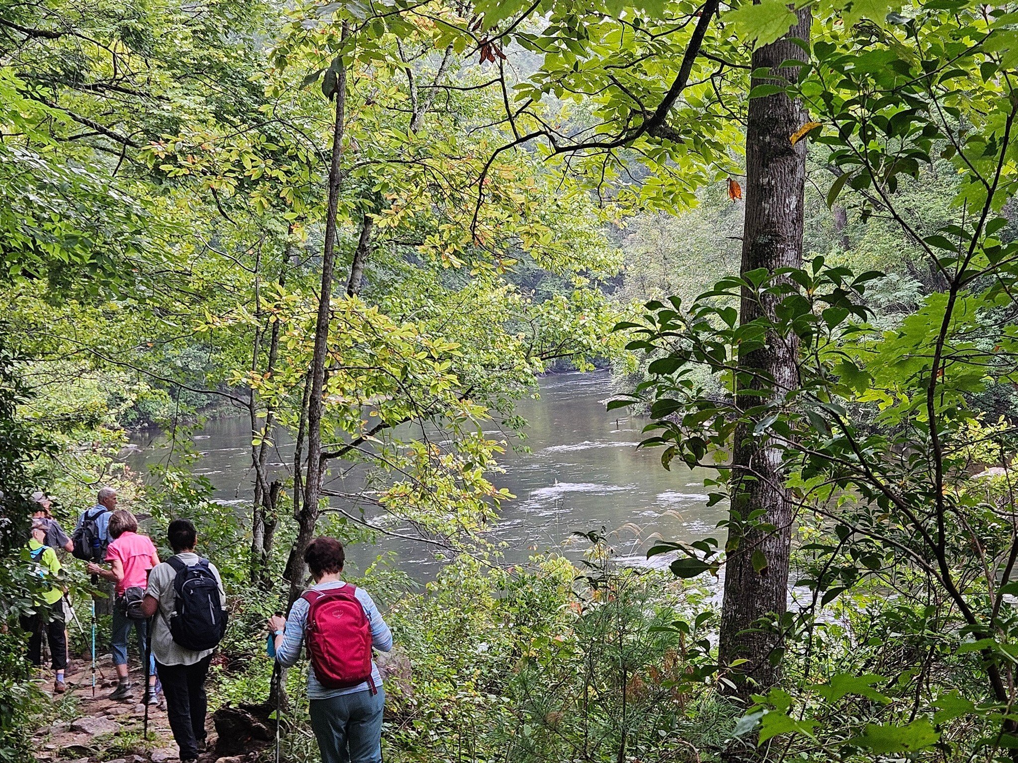 A series of views of the Chattooga around this bend in the river.  Photo by Sue Vaughn.