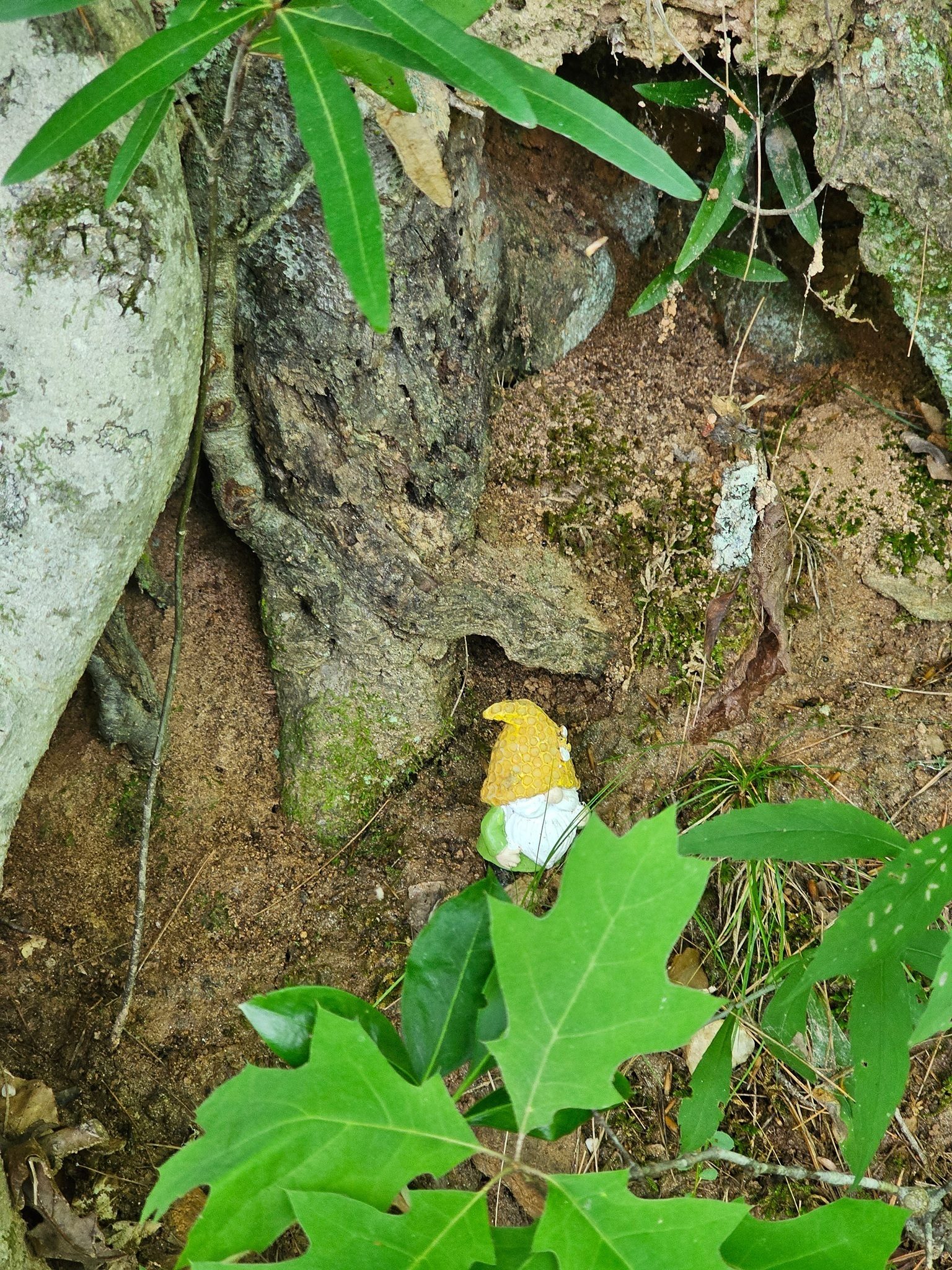 A remaining gnome figure along the trail.  I looked back at our 2022 hike and there was a complete setting of these figures at that time.