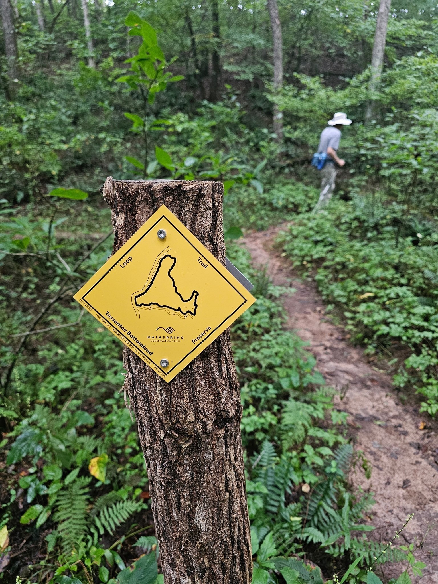 Nice color-coded trail signage throughout the preserve.