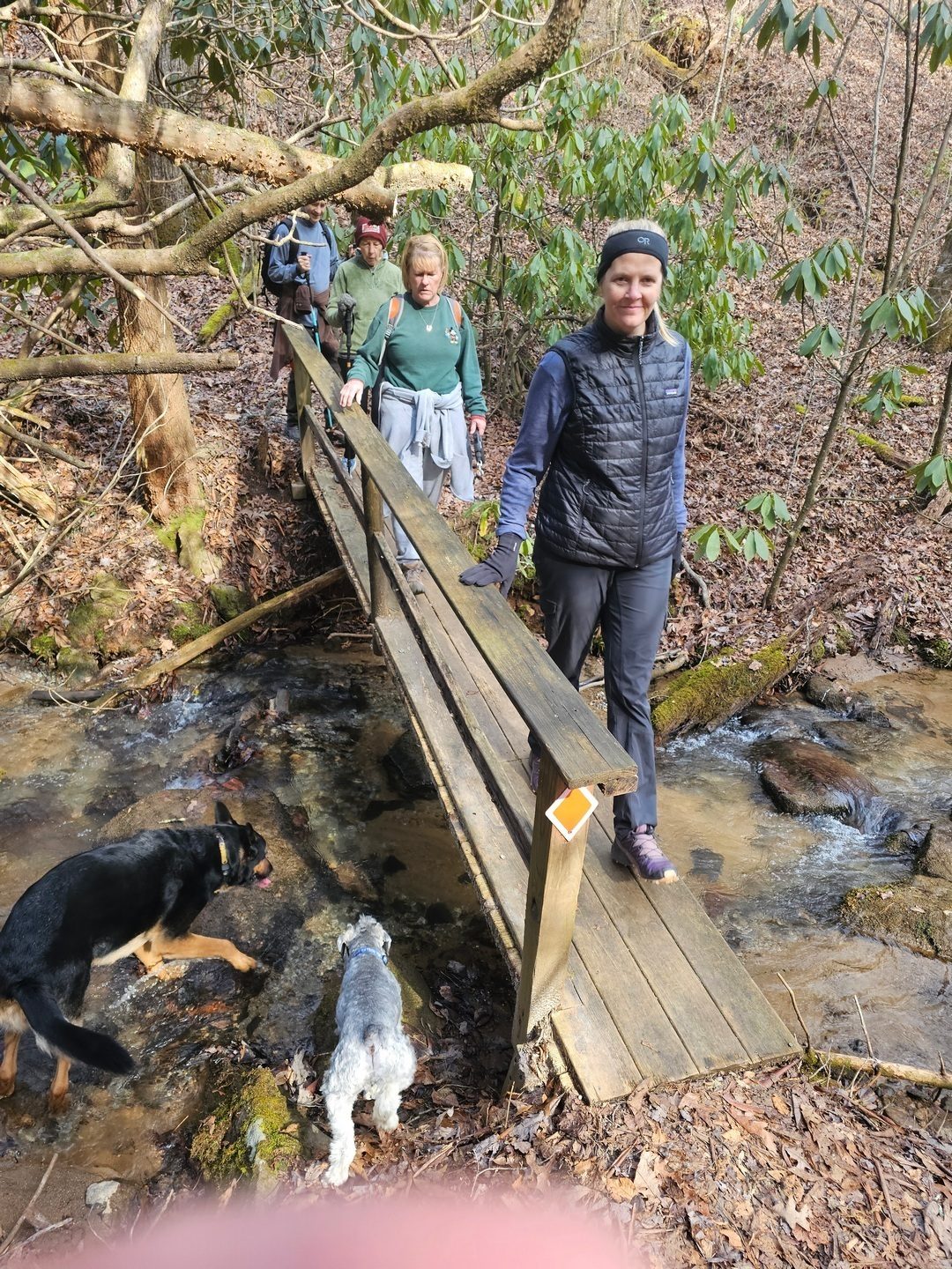 We cross and follow Taylors Creek on the last section of this hike.