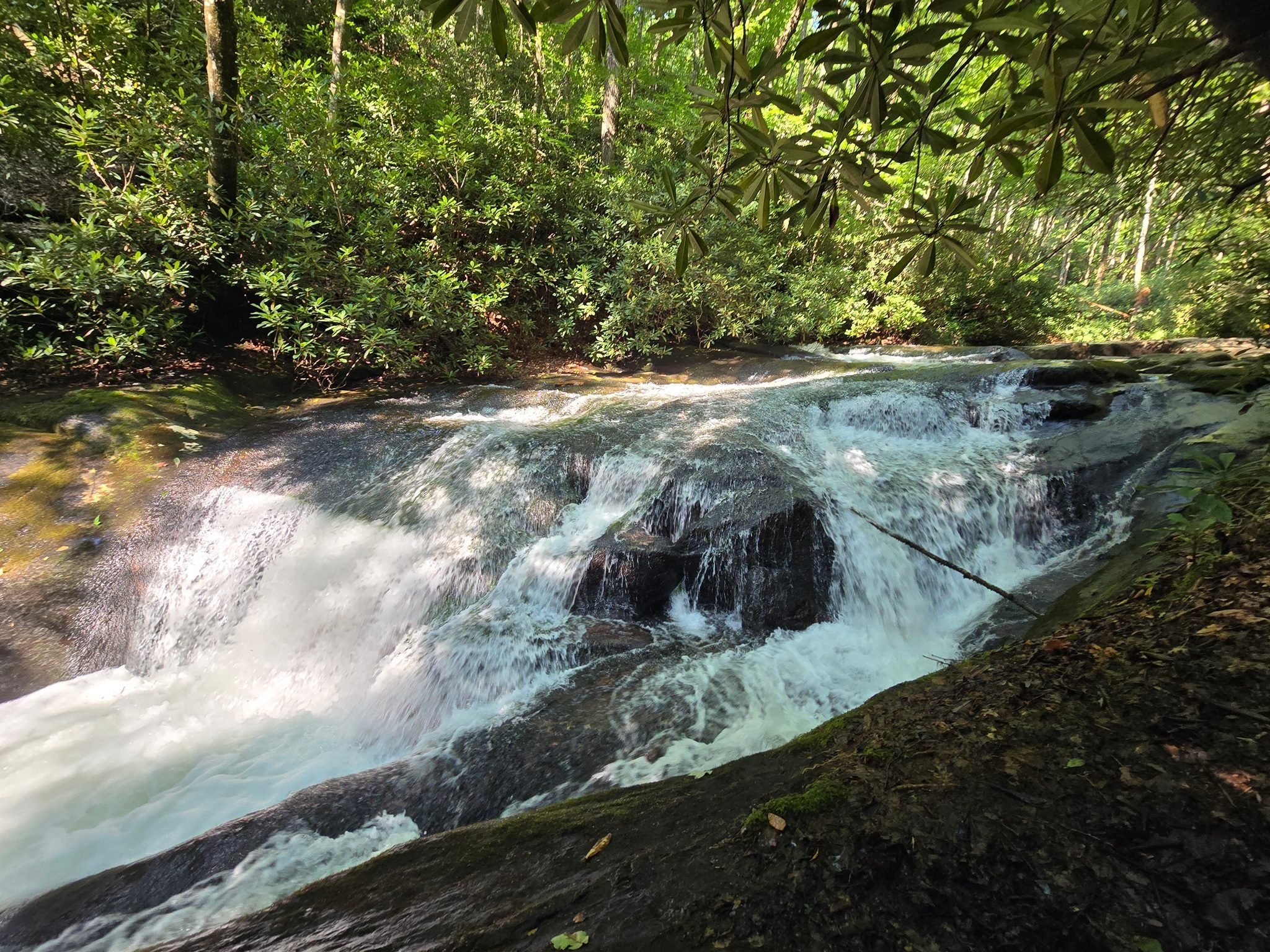 However, further up the trail is still another, and the largest, cascade of the hike.  Photo by Jane Voss
