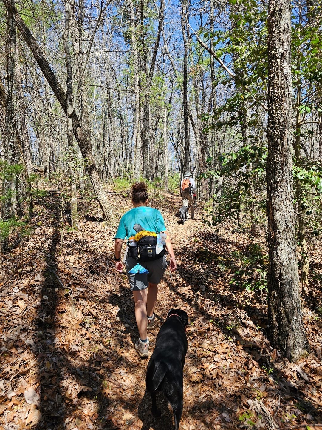 It's a 2+ mile hike up the south side of Tooni Mountain on our way back.