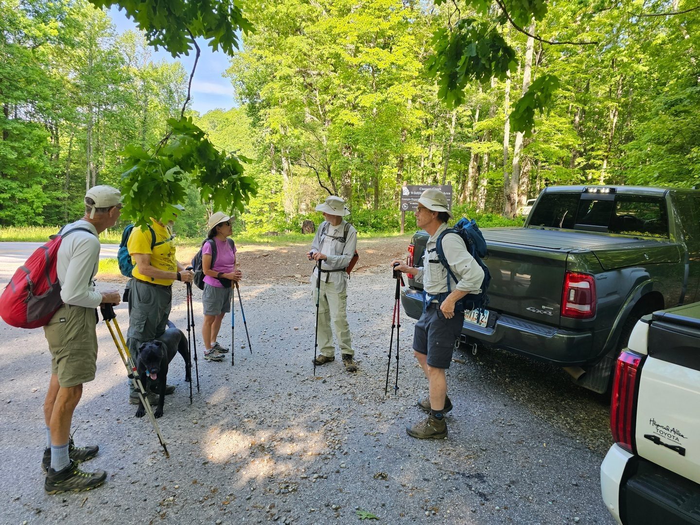 Getting started from the Duncan Ridge trailhead at Wolfpen Gap.