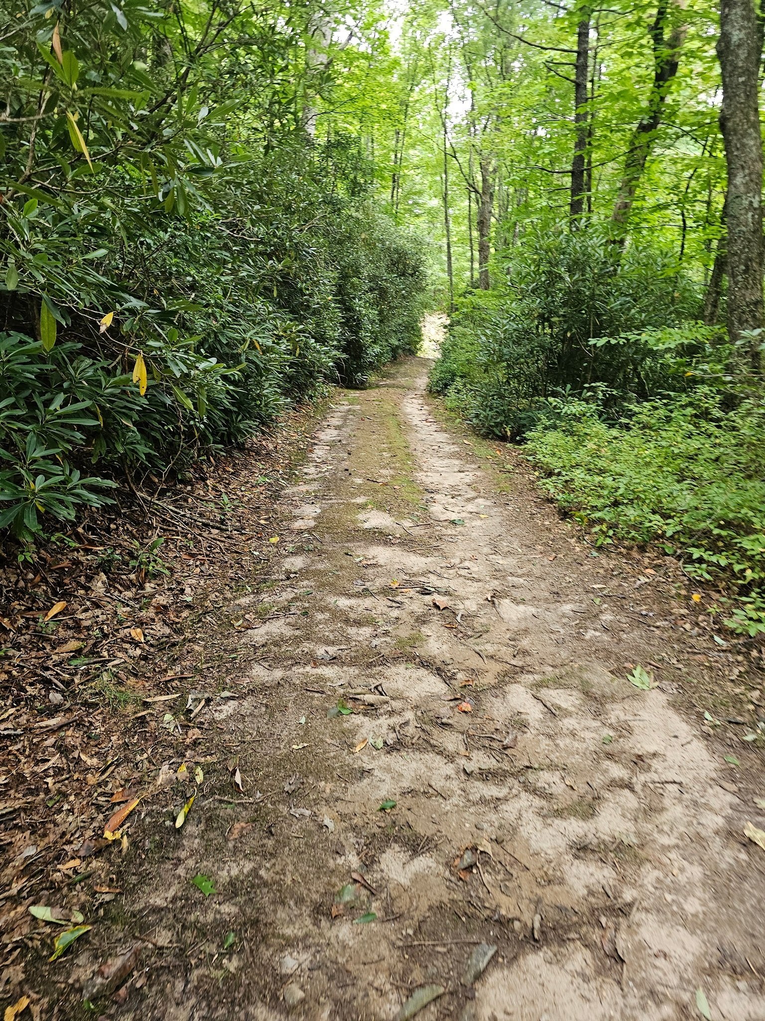 Some of the return path is on an old road bed.