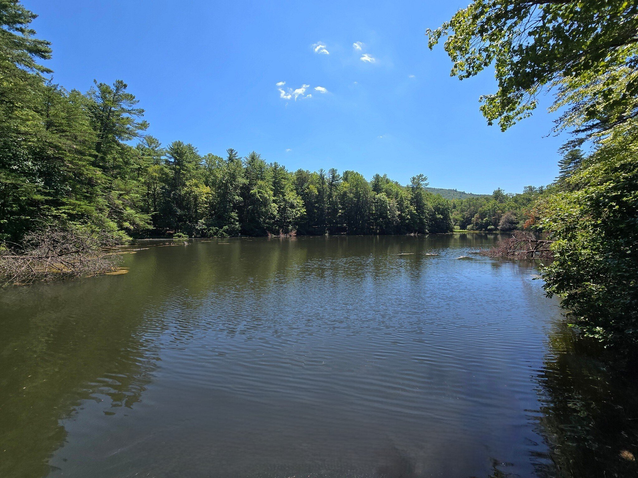 As we finish our hike, we pass by Dockery Lake. Photo by Jane Voss.