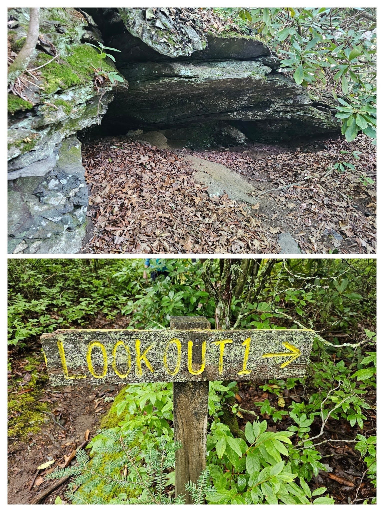 Lookout #1 access trail has some interesting rock formations along the way.
