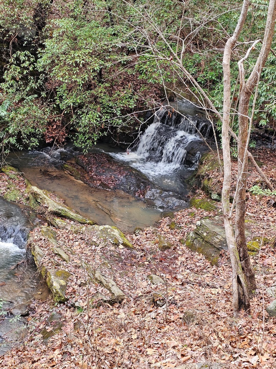 An unnamed mini waterfall above Tabor Falls.