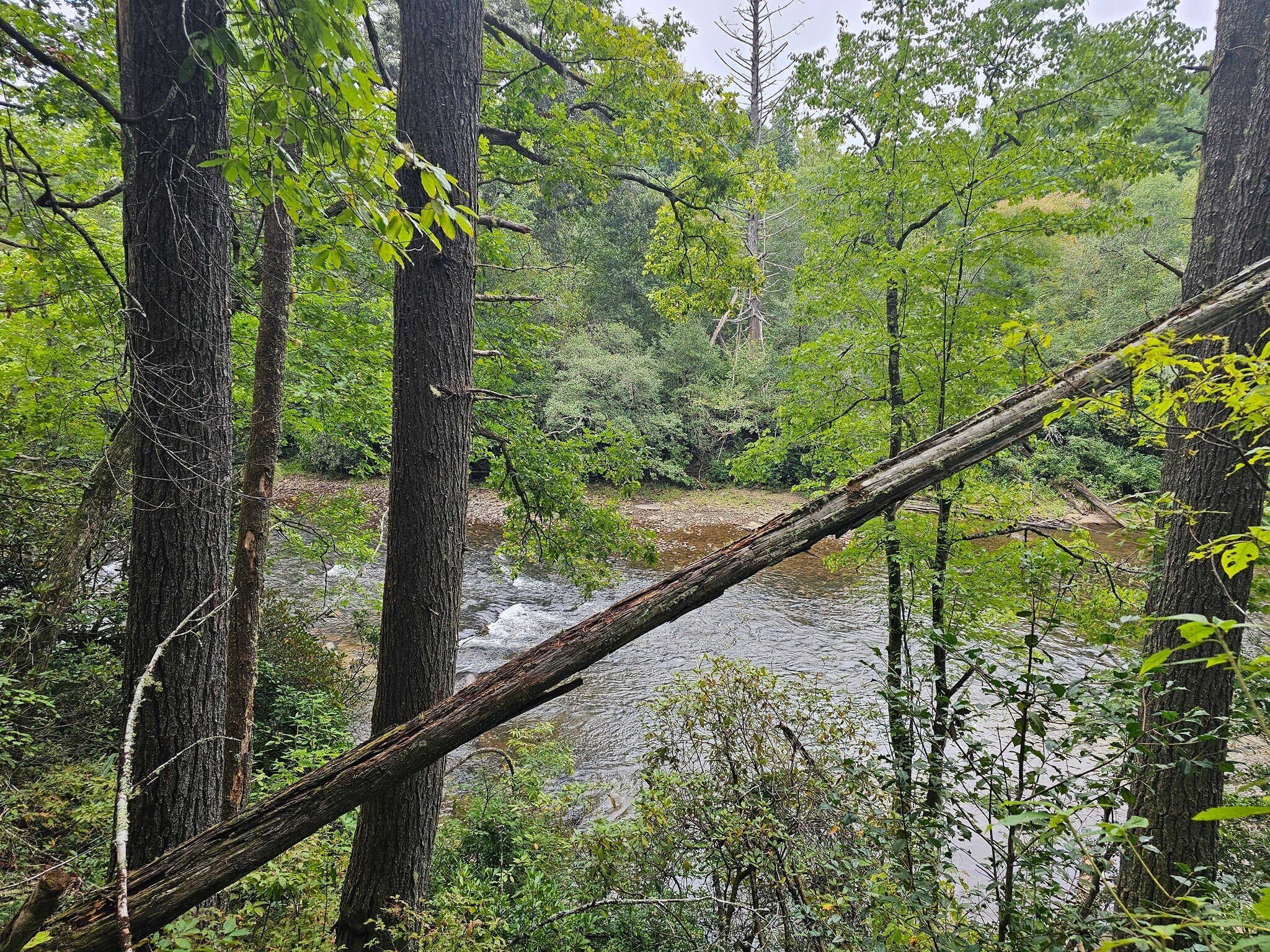 We're looking for the actual "Big Island" at this point in the hike, but are not sure with the dense vegetative growth along the river.