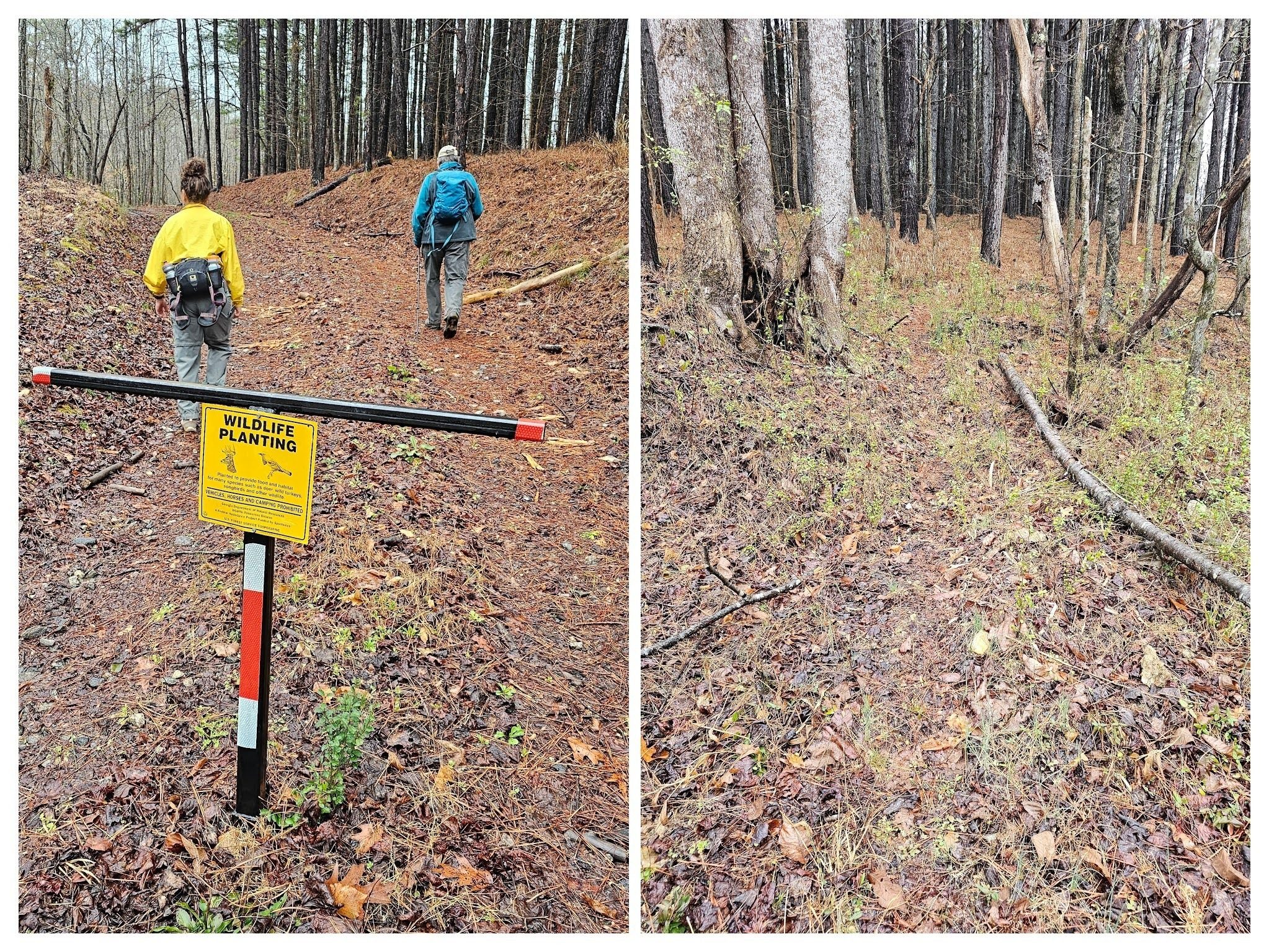 Where FS 89 ends, the trail continues on as an old road bed.  Nearby is a faint trace of a trail that lead to the east side of the river neat the RR culvert.