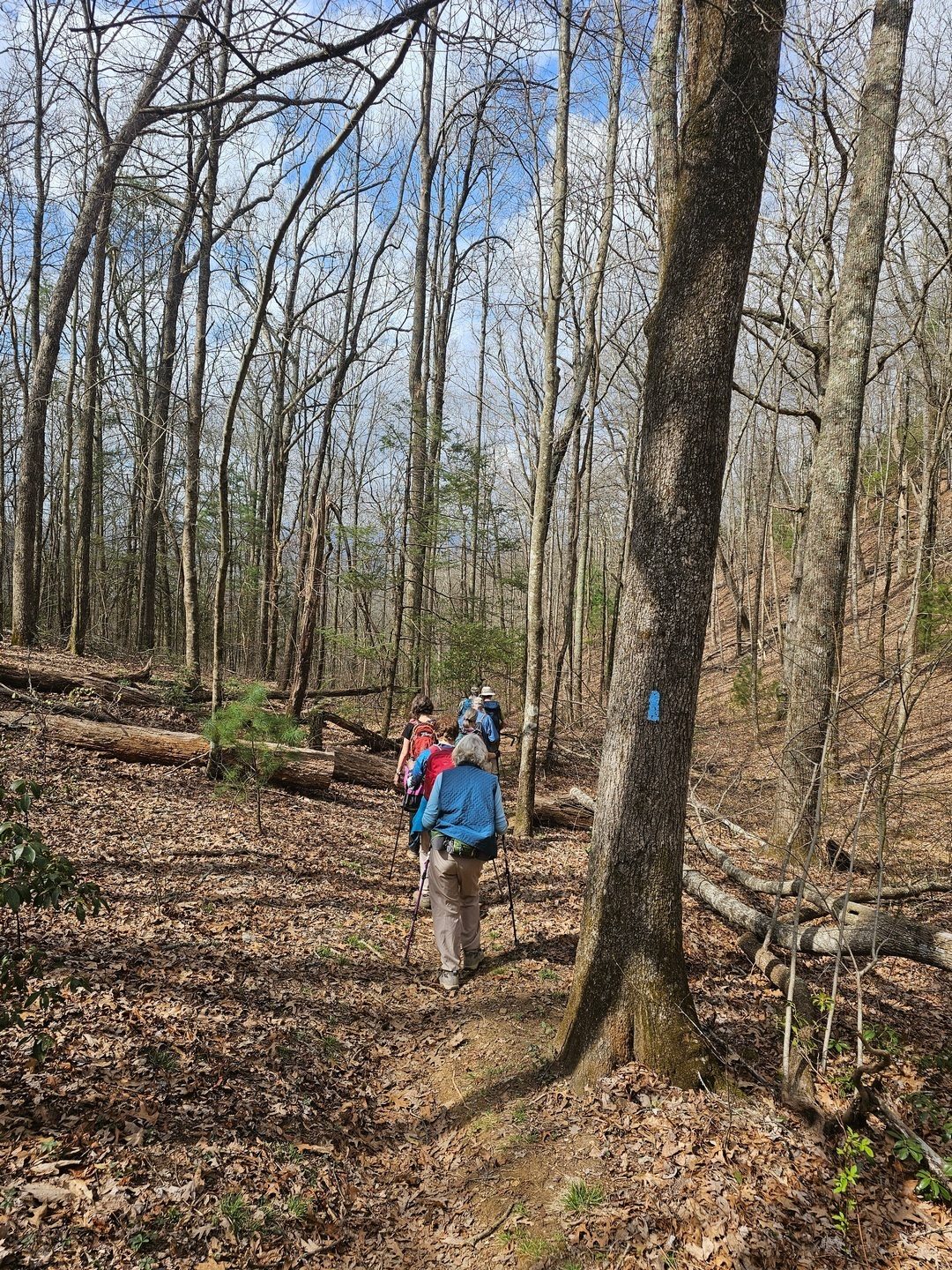 Headed down the Andrews Cove Trail after our break.