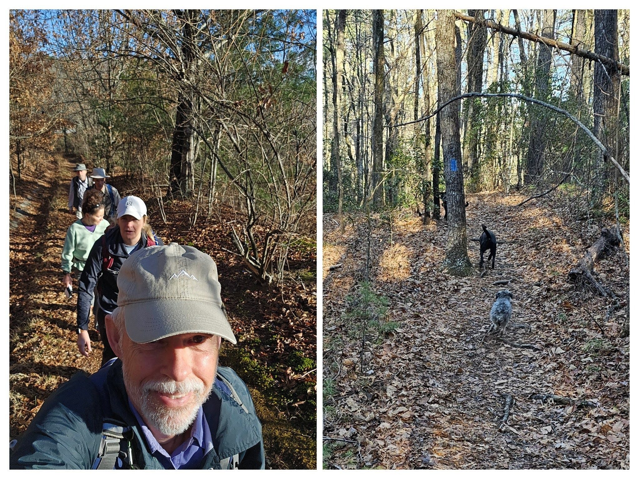 Headed out of the trailhead, but led by Toby, Toby and Bear.