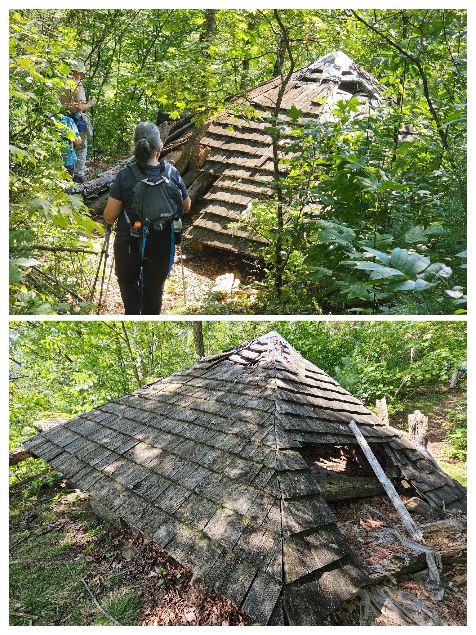 The condition of this formerly very nice shelter on Clifftop Vista is sad.