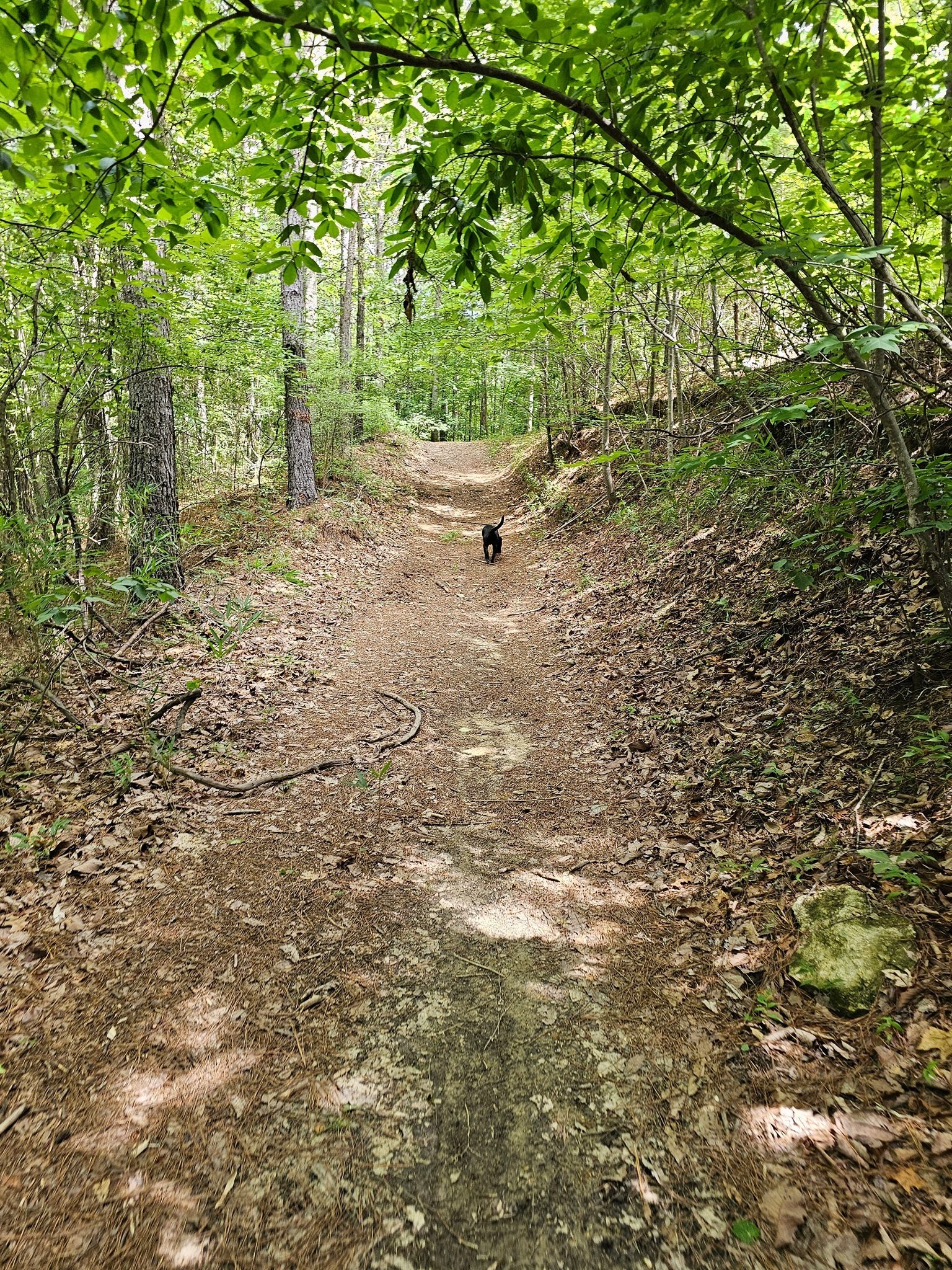 Closing the loop on the East Bound-n-Down Trail.